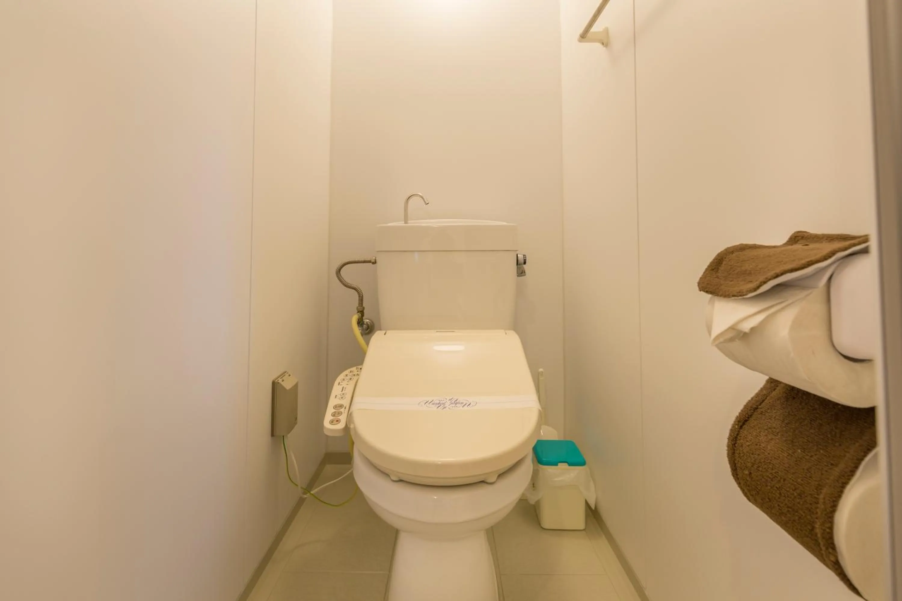 Toilet in Snow ball Condominium