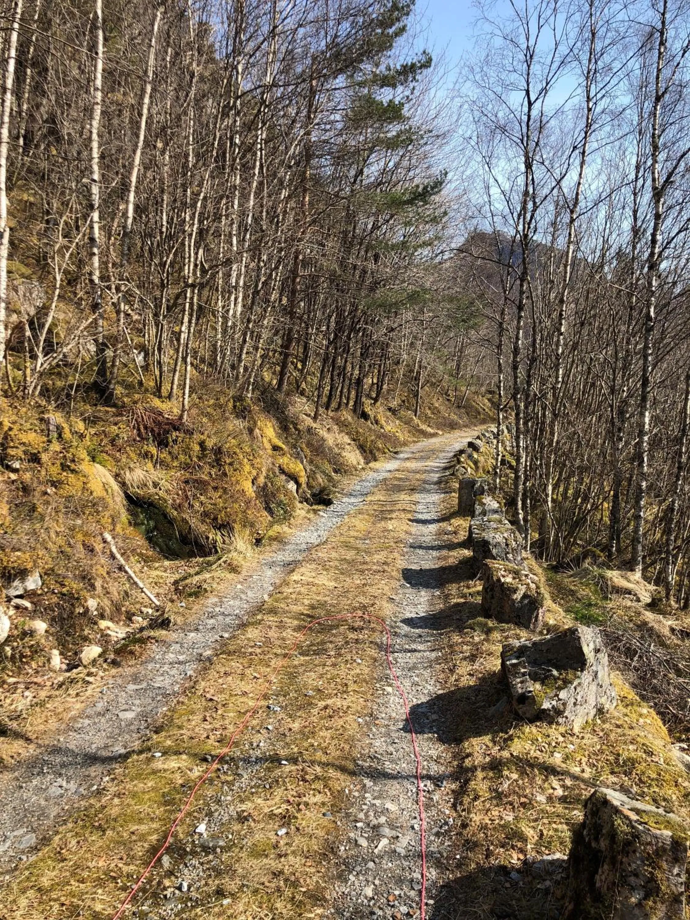 Natural landscape in Fjordslottet Hotel
