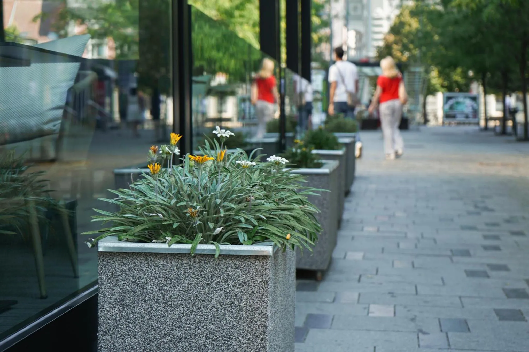 Garden in Hotel Vojvodina