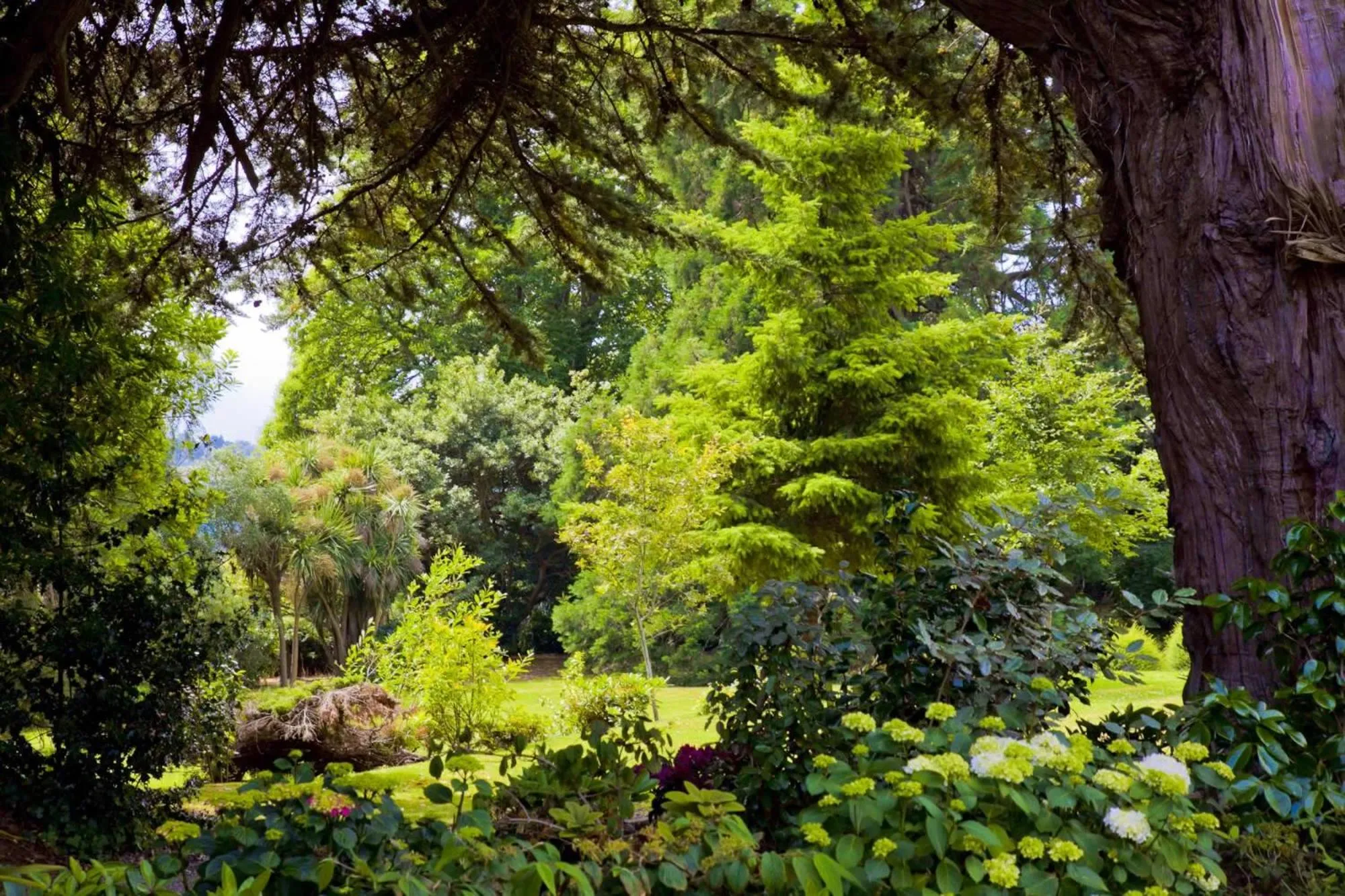 Garden in Tinakilly Country House Hotel