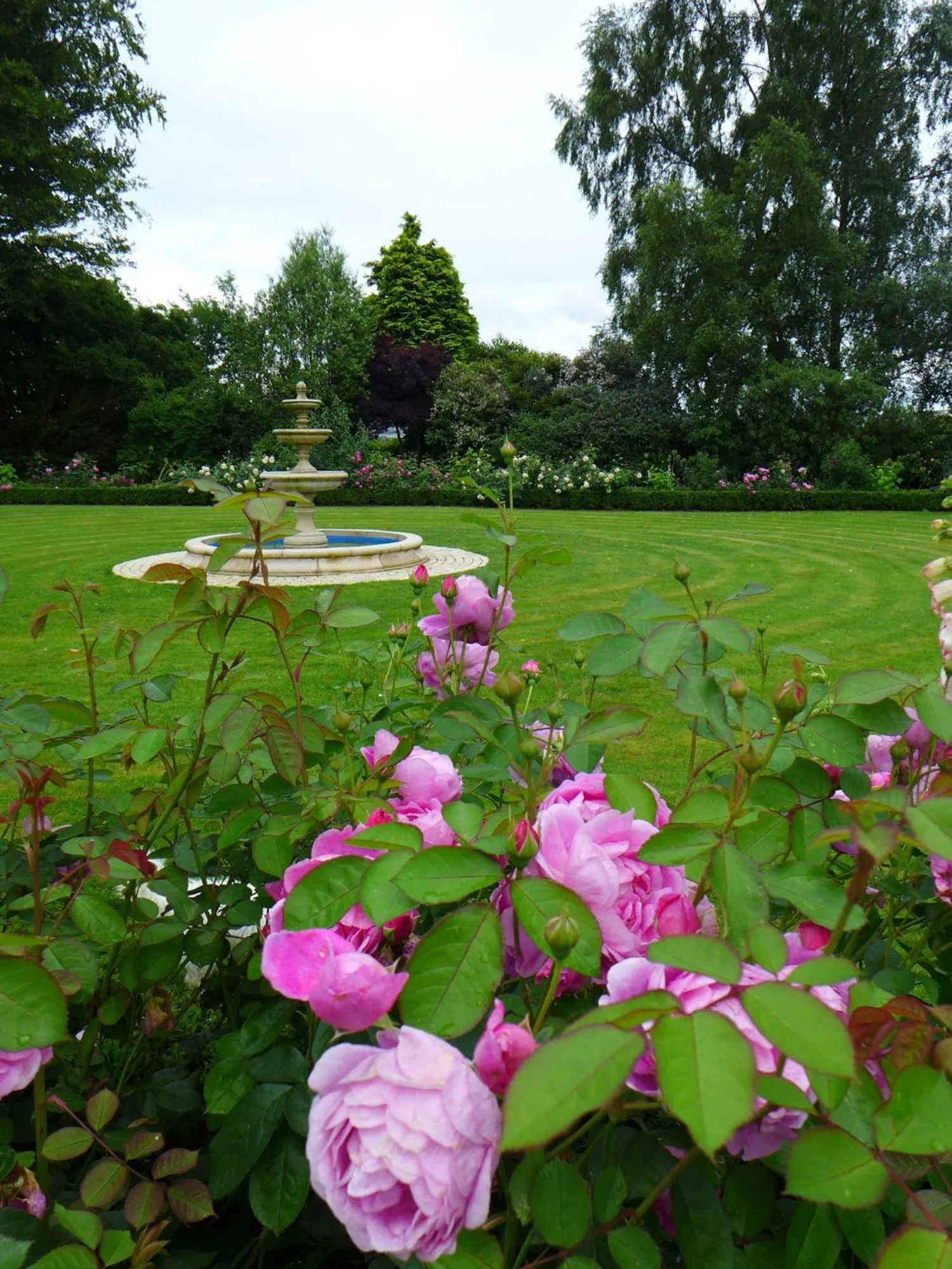 Garden in Tinakilly Country House Hotel