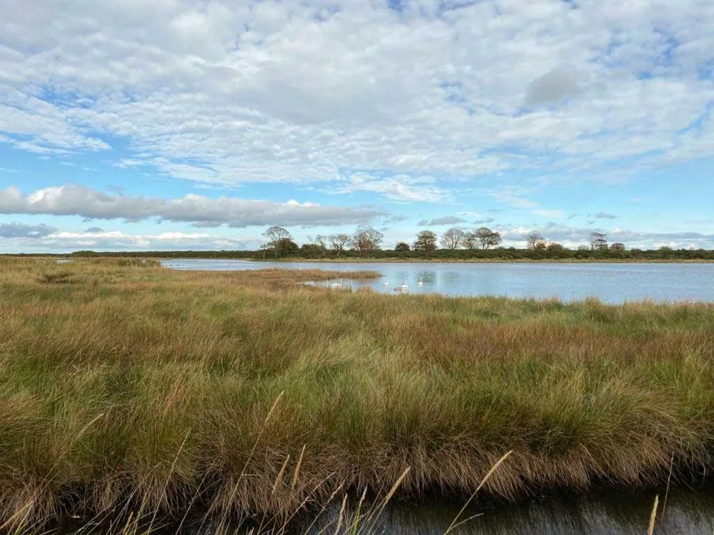 Garden in Tinakilly Country House Hotel