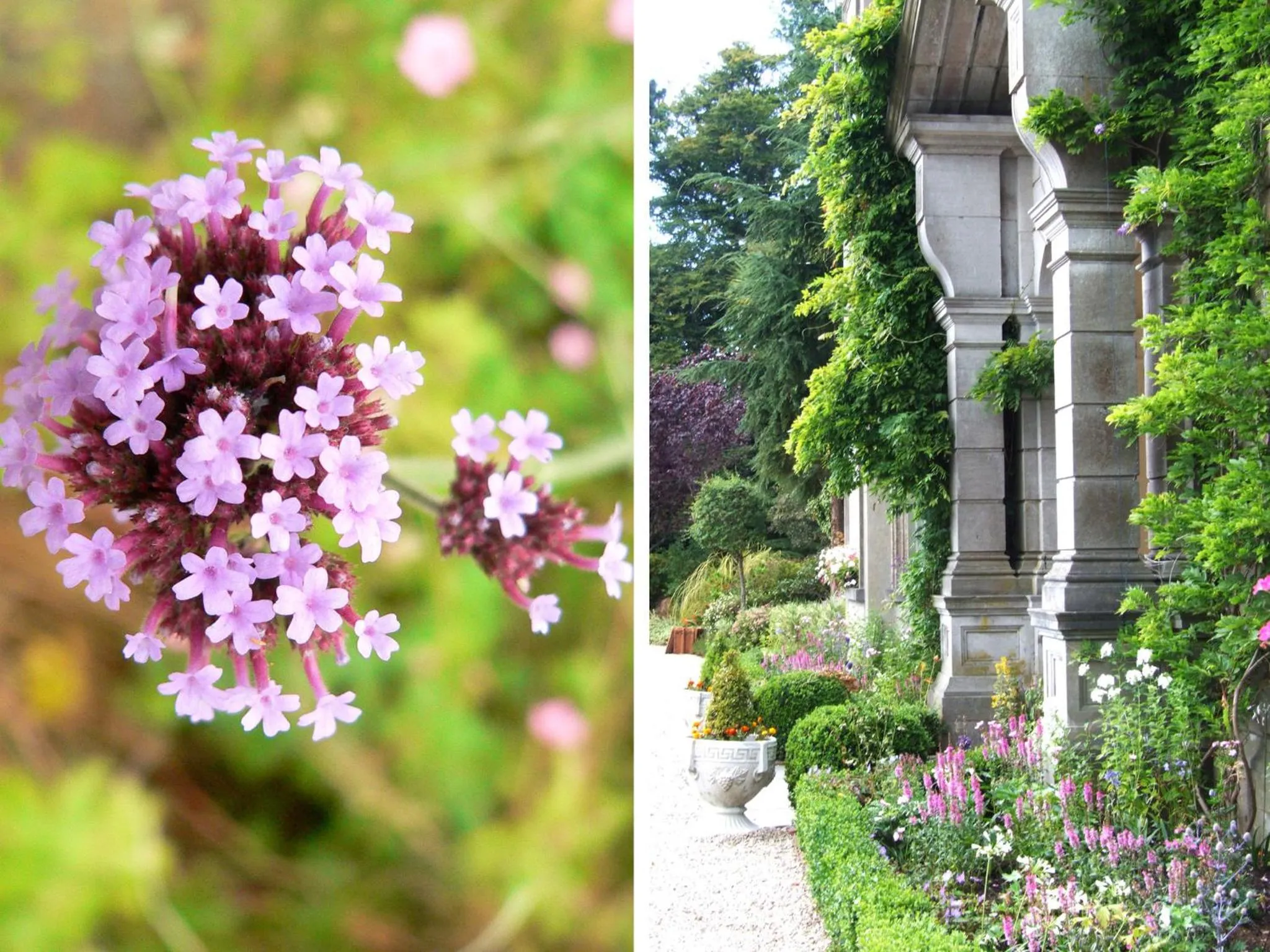 Garden in Tinakilly Country House Hotel