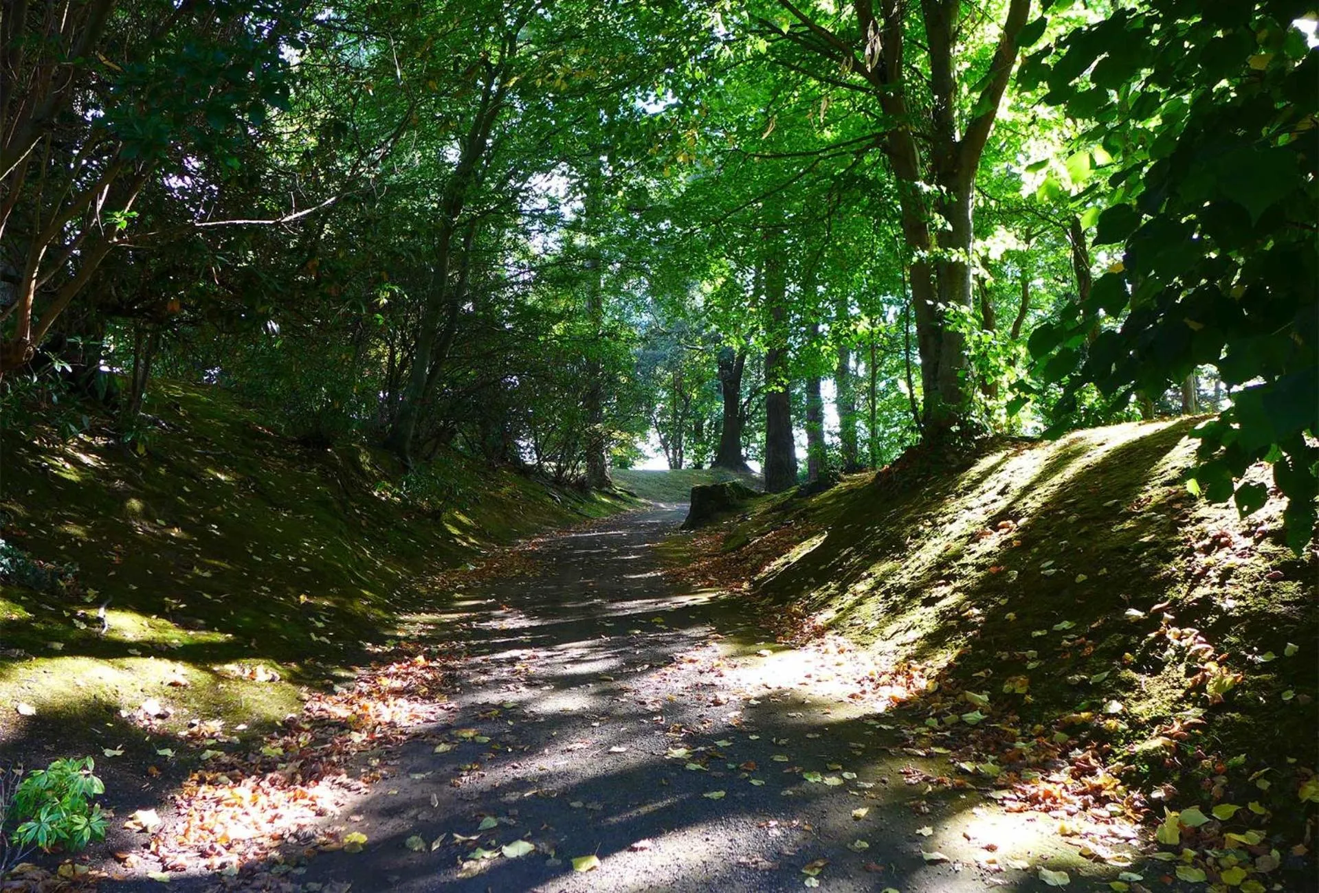 Garden in Tinakilly Country House Hotel