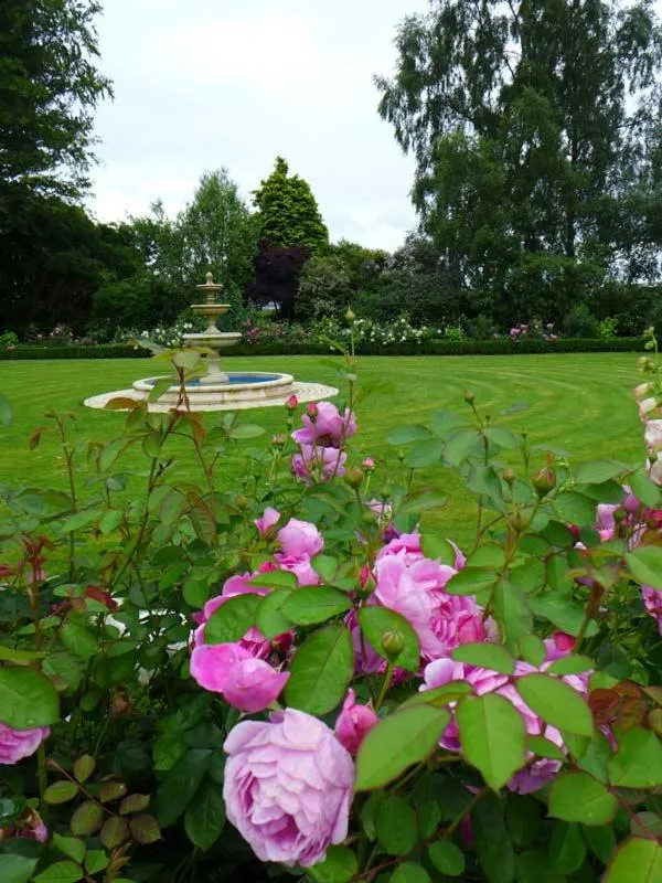 Garden in Tinakilly Country House Hotel