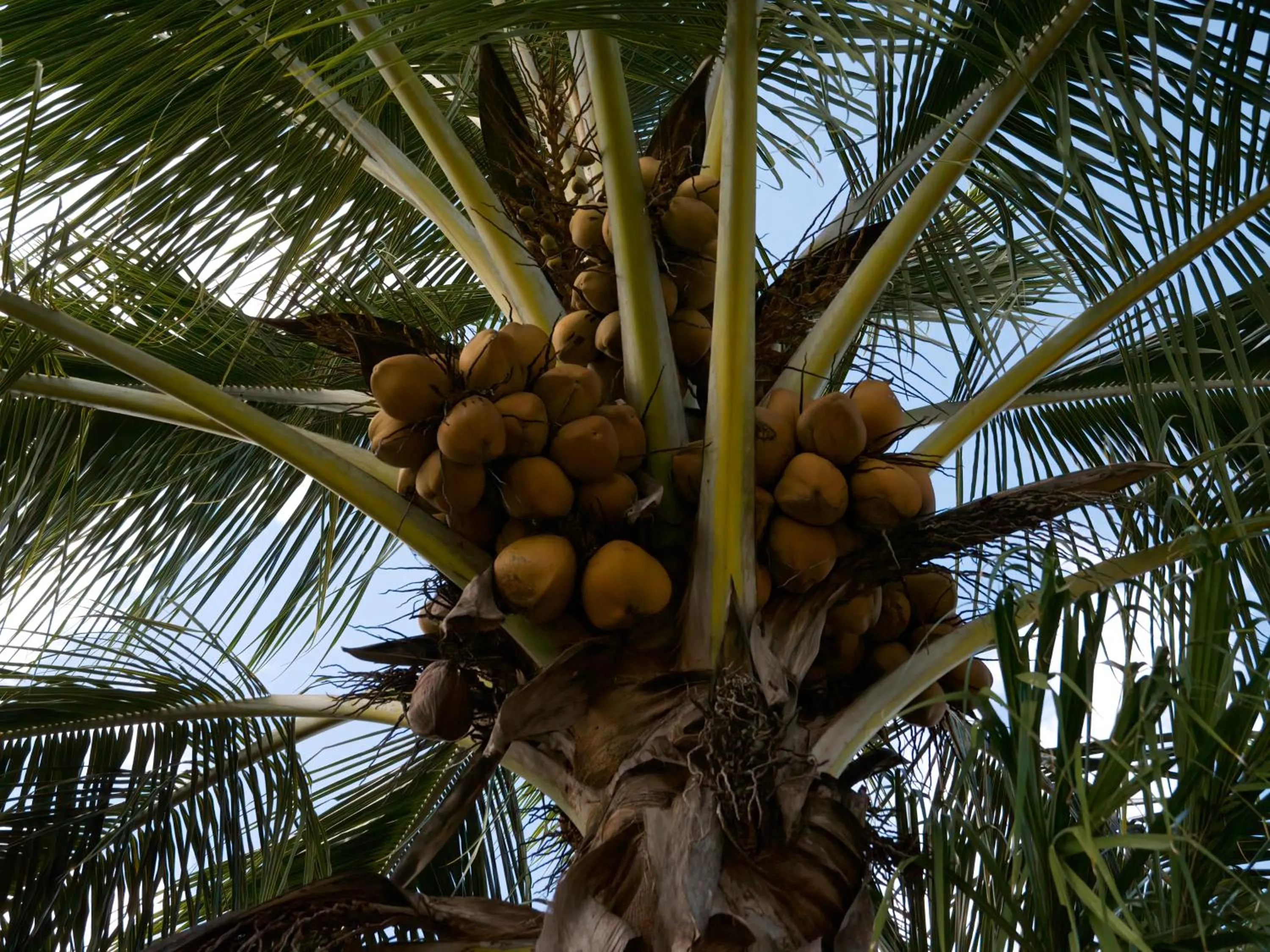 Natural landscape in Hotel Tropiq