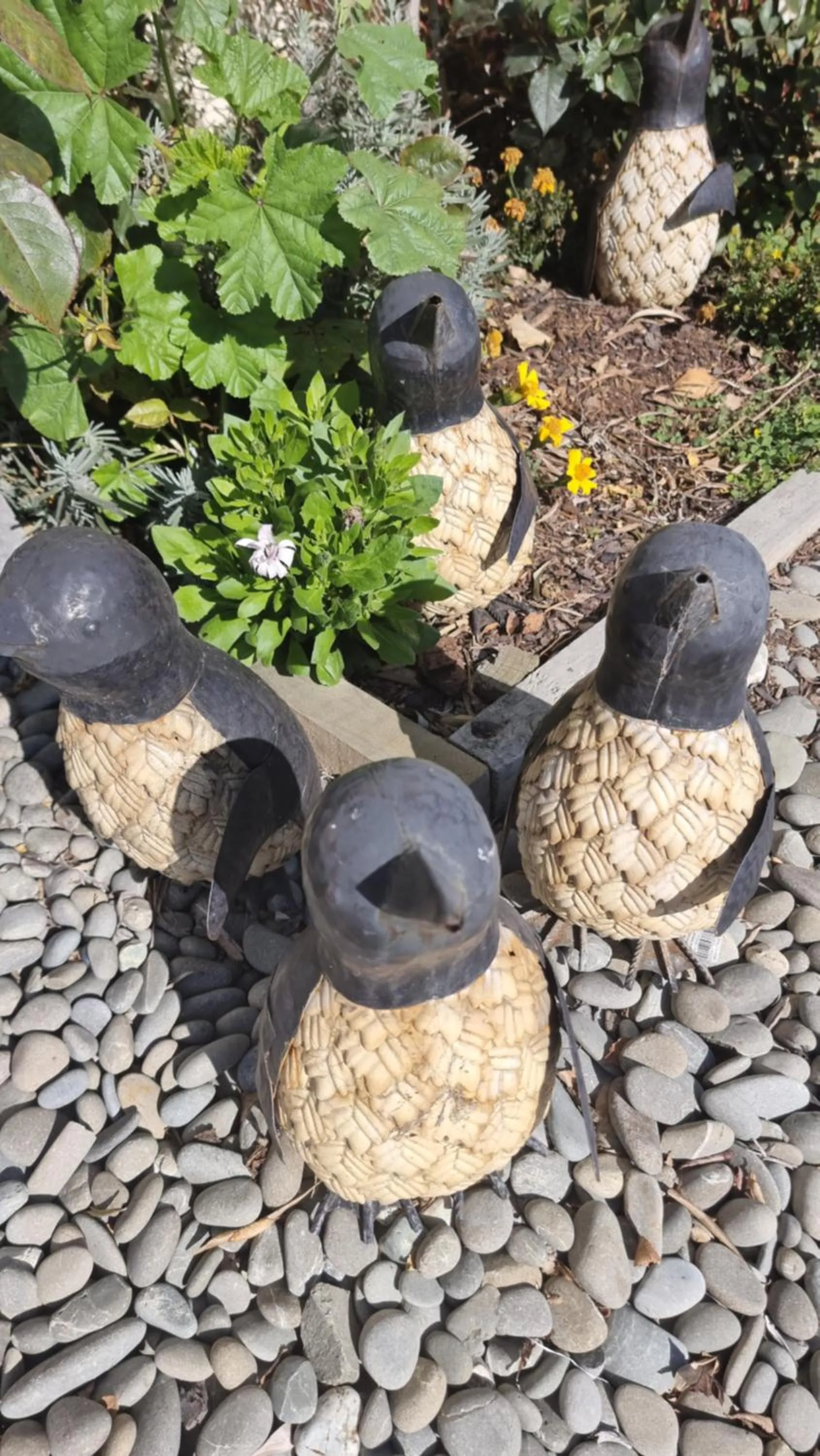 Animals in THE MEWS Oamaru