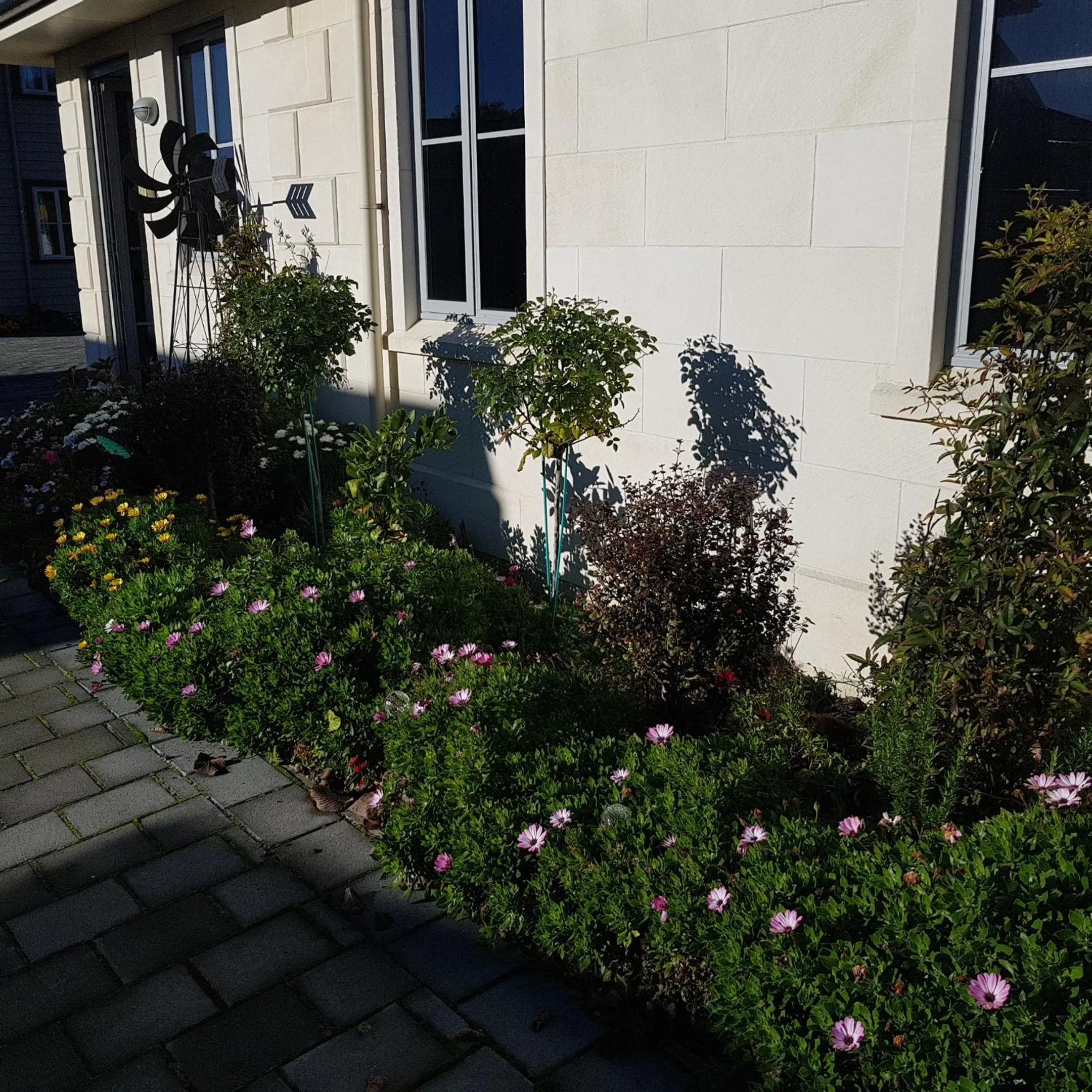 Garden view in THE MEWS Oamaru