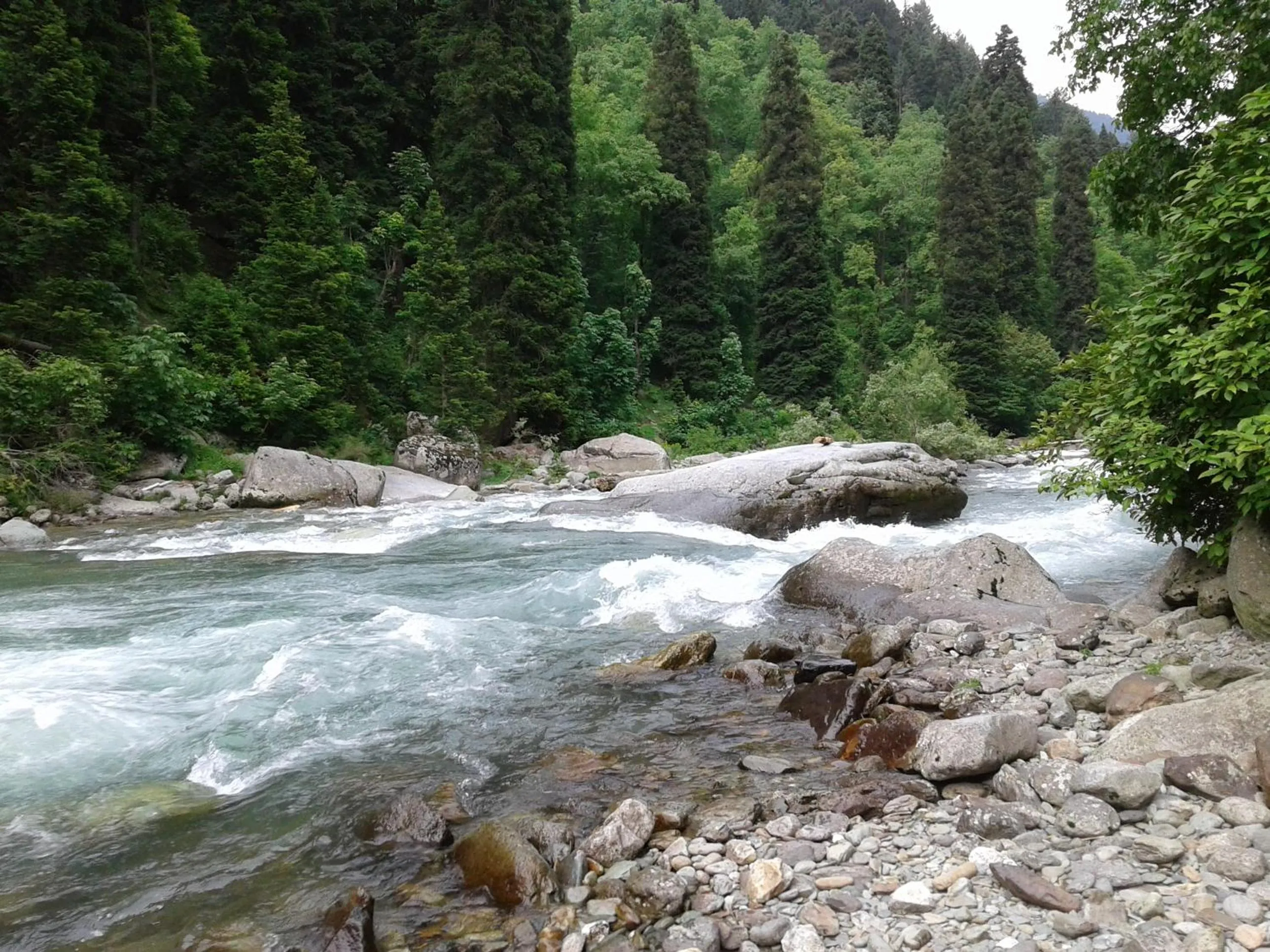 Hiking in S Group Of Houseboat
