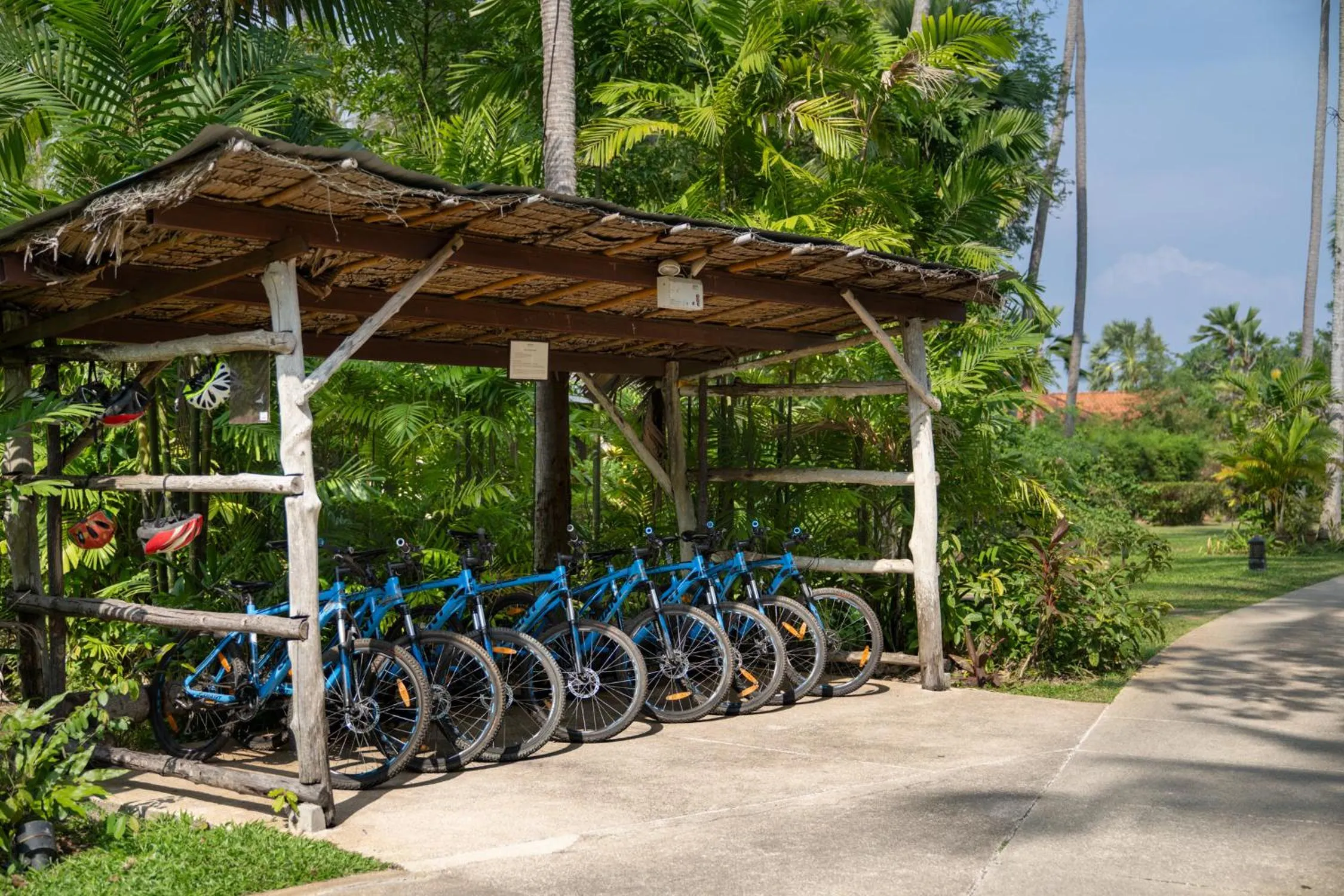 Activities in Napasai Samui