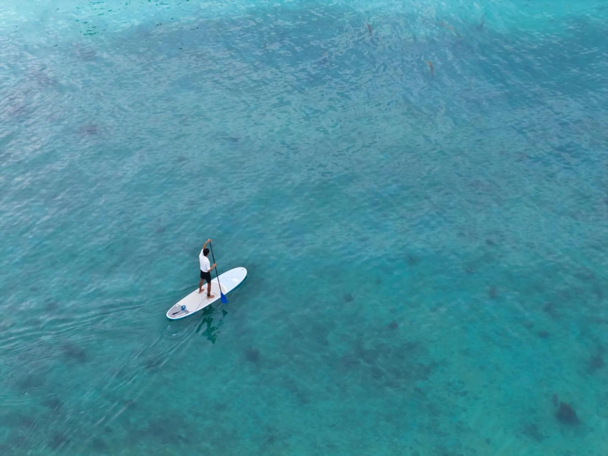 Activities in Napasai Samui