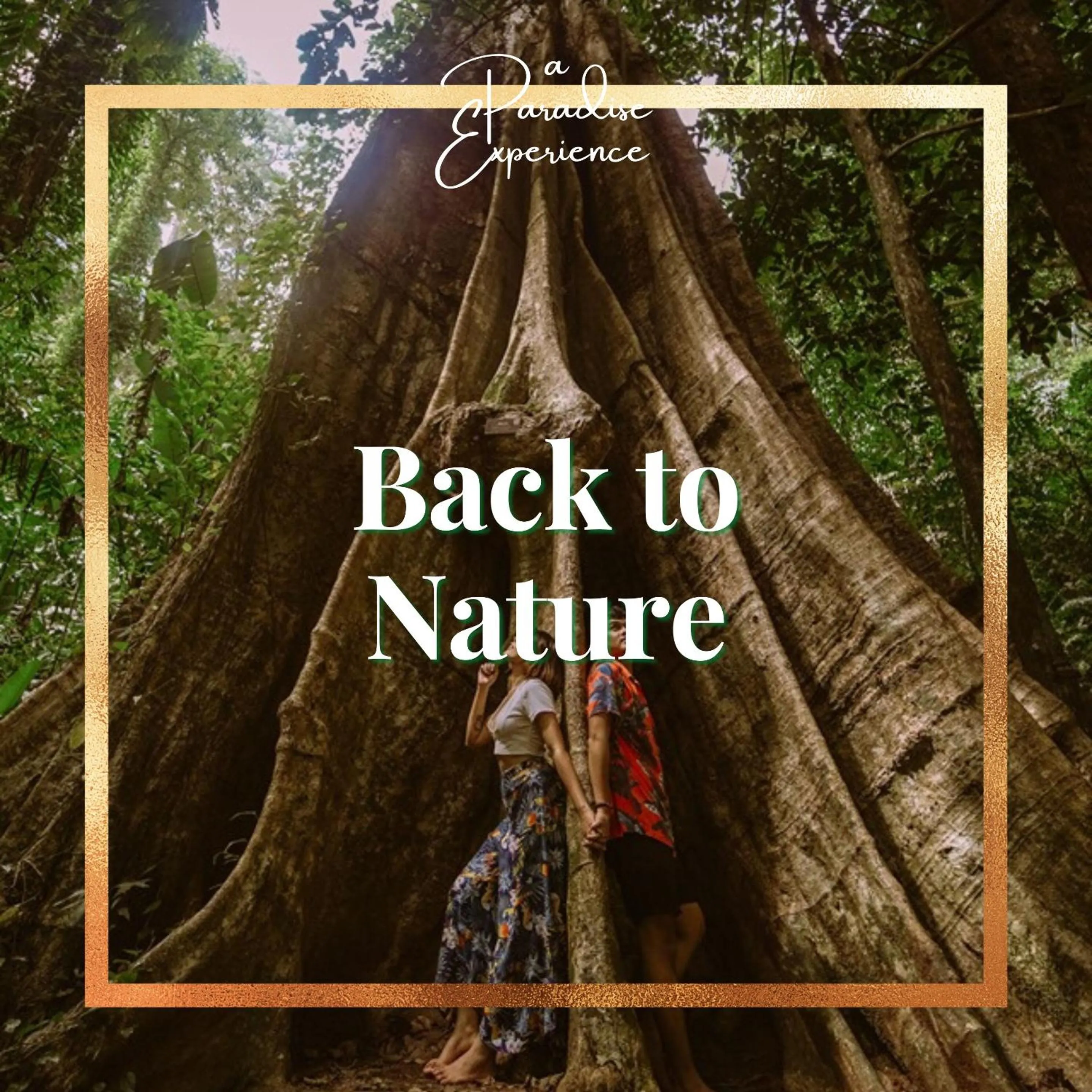 Natural landscape in Paradise Koh Yao