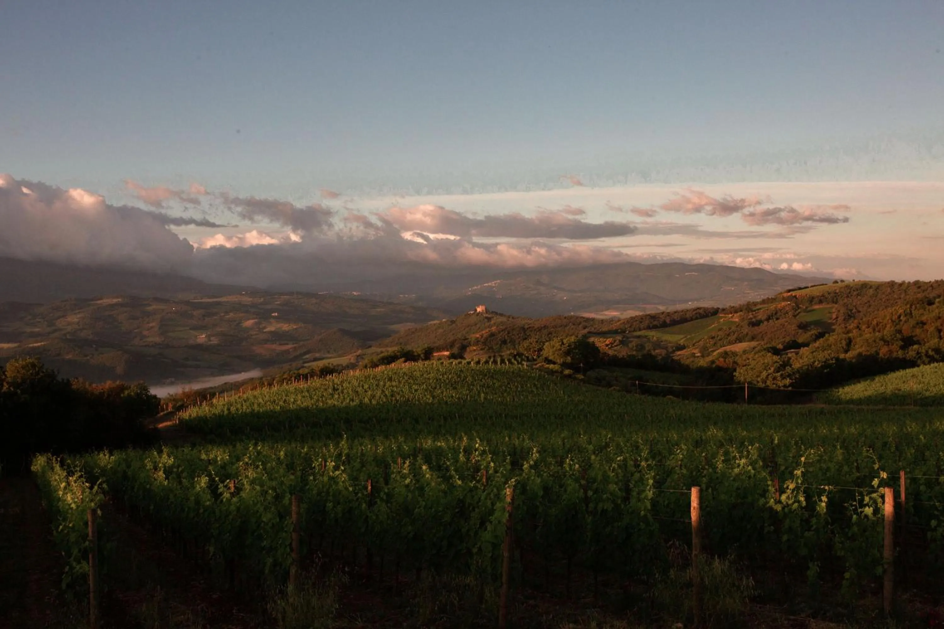 Garden view in Mastrojanni Relais