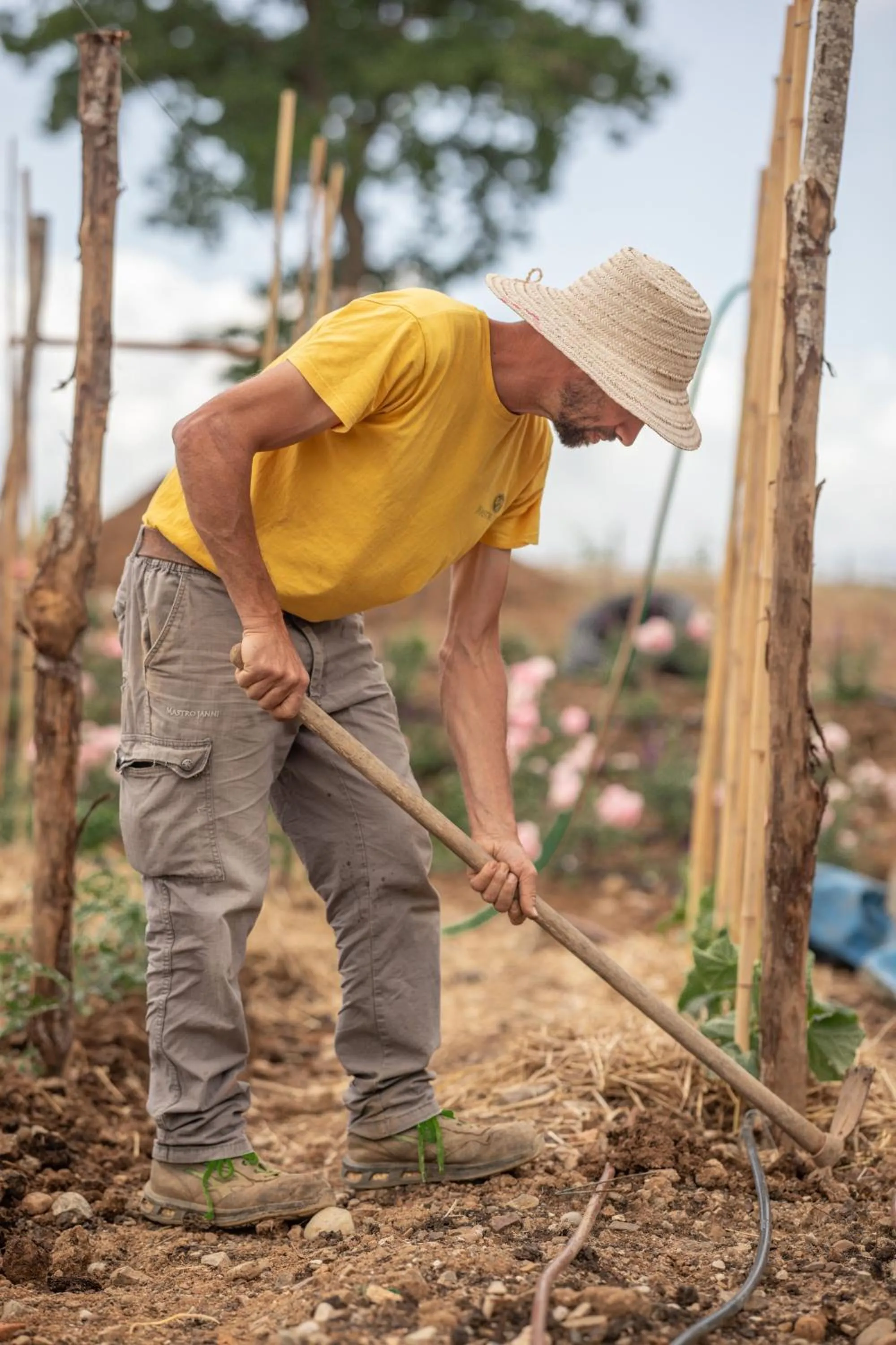Garden in Mastrojanni Relais