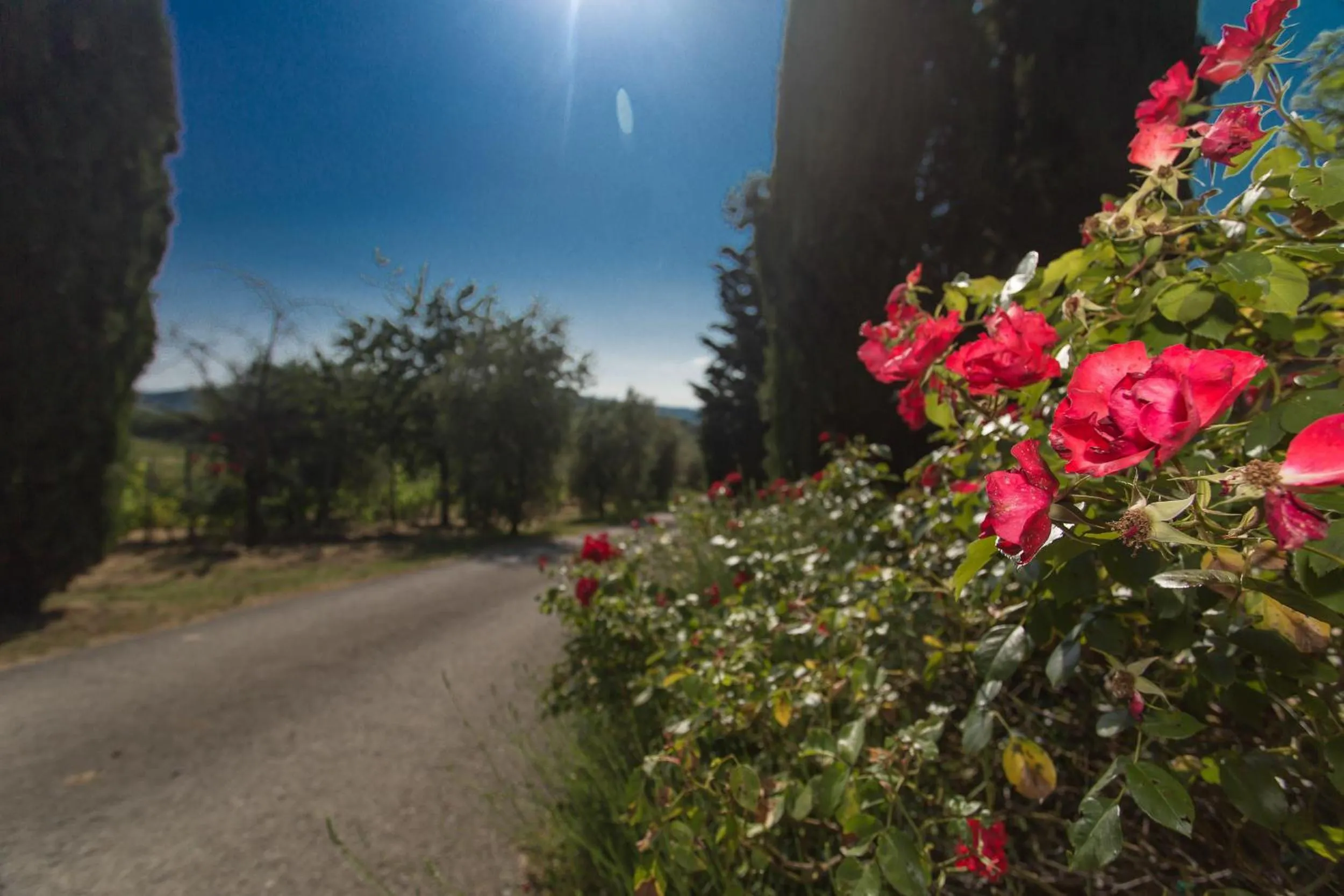 Facade/entrance in Relais Santa Cristina