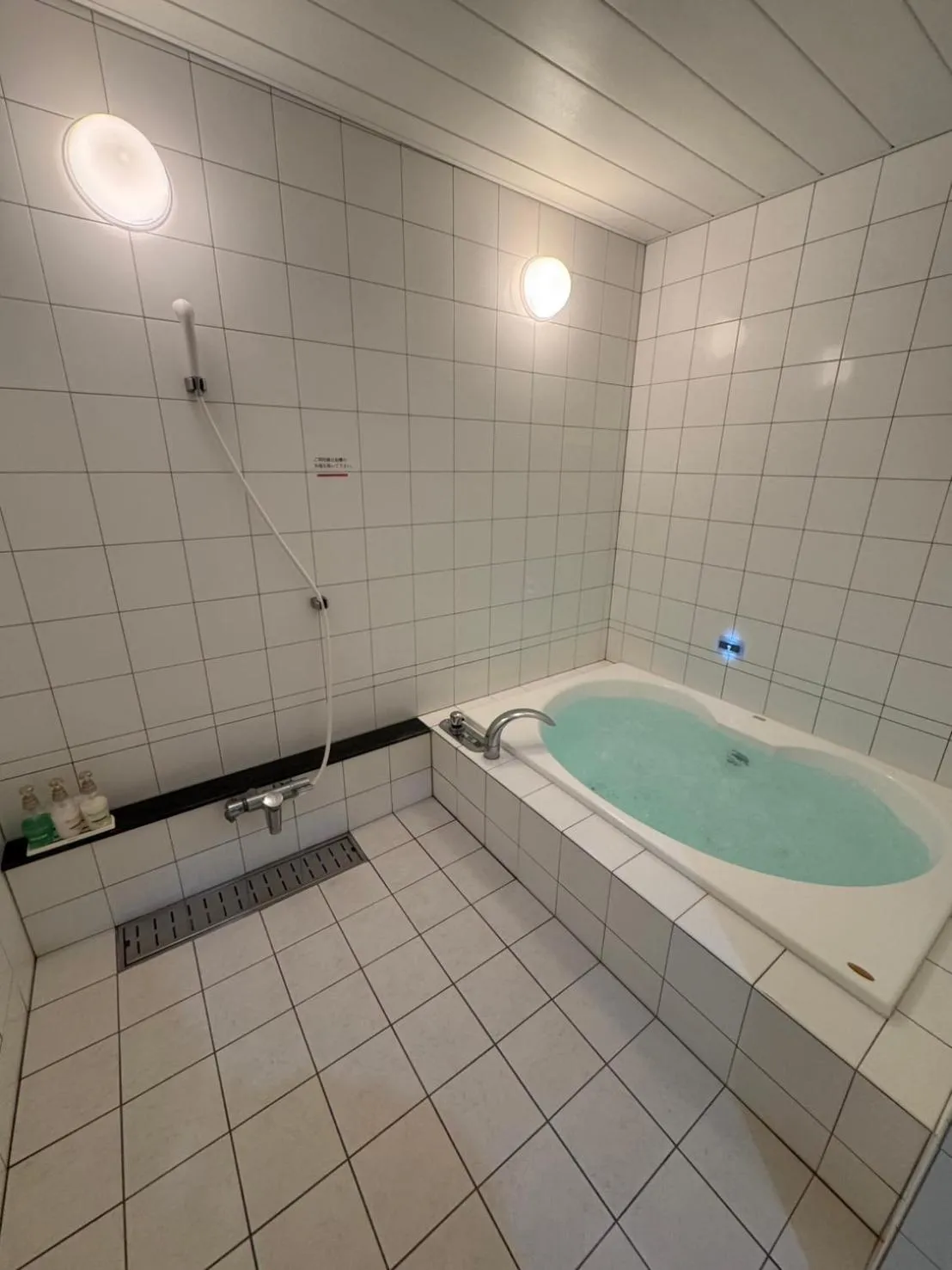 Bath in Tongariboshi (Adult Only)