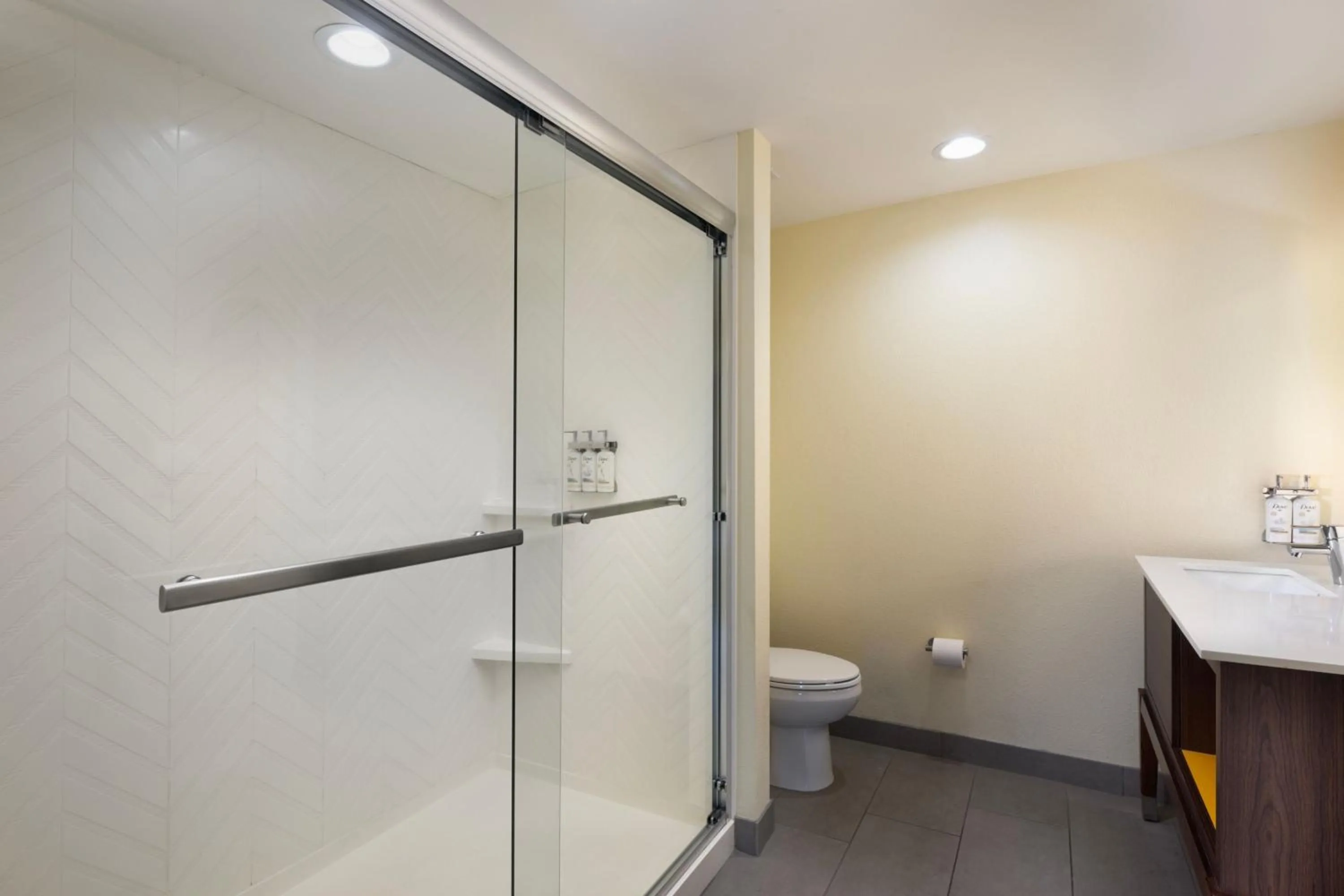 Bathroom in The Scenic Hotel at Biltmore Village