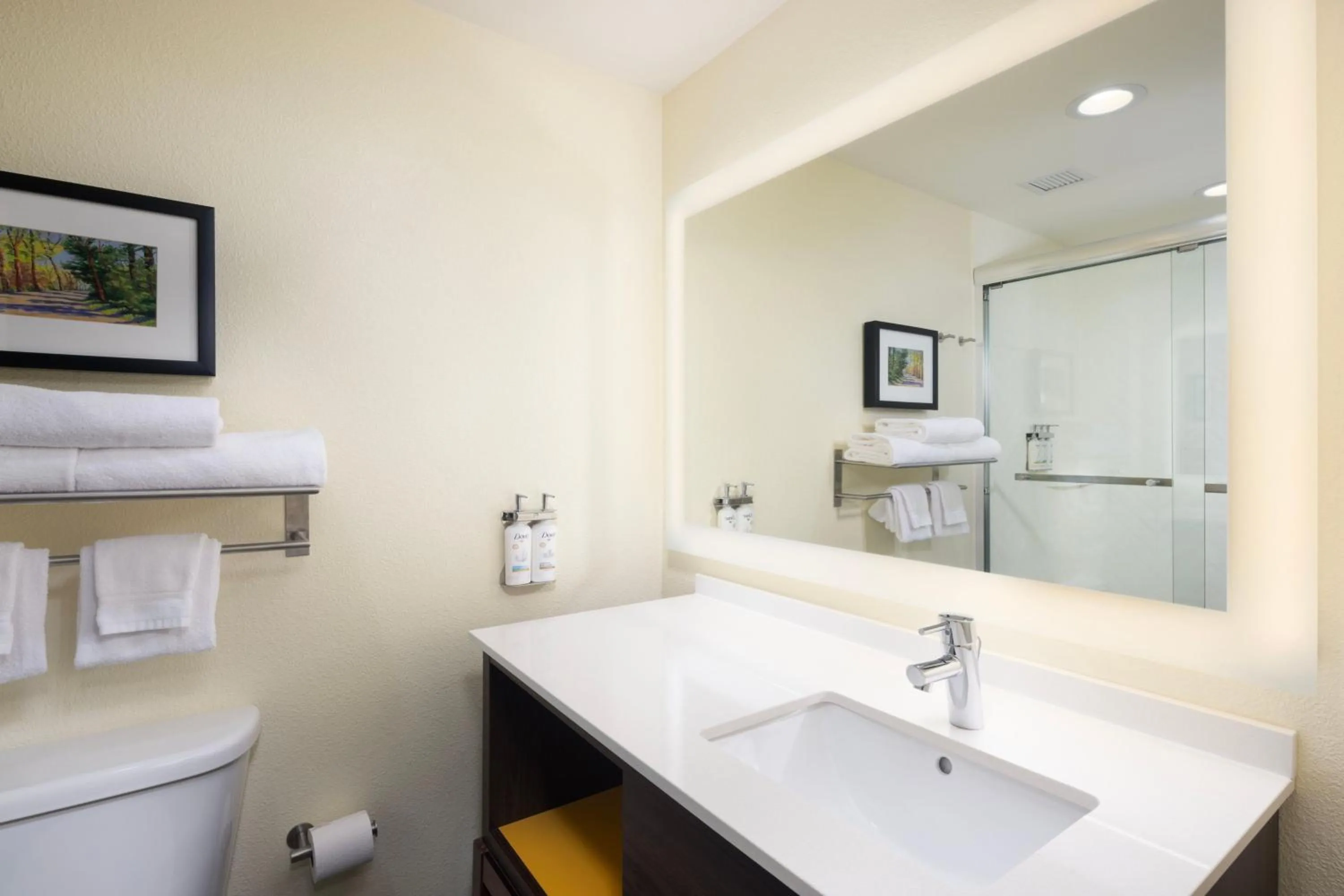 Bathroom in The Scenic Hotel at Biltmore Village