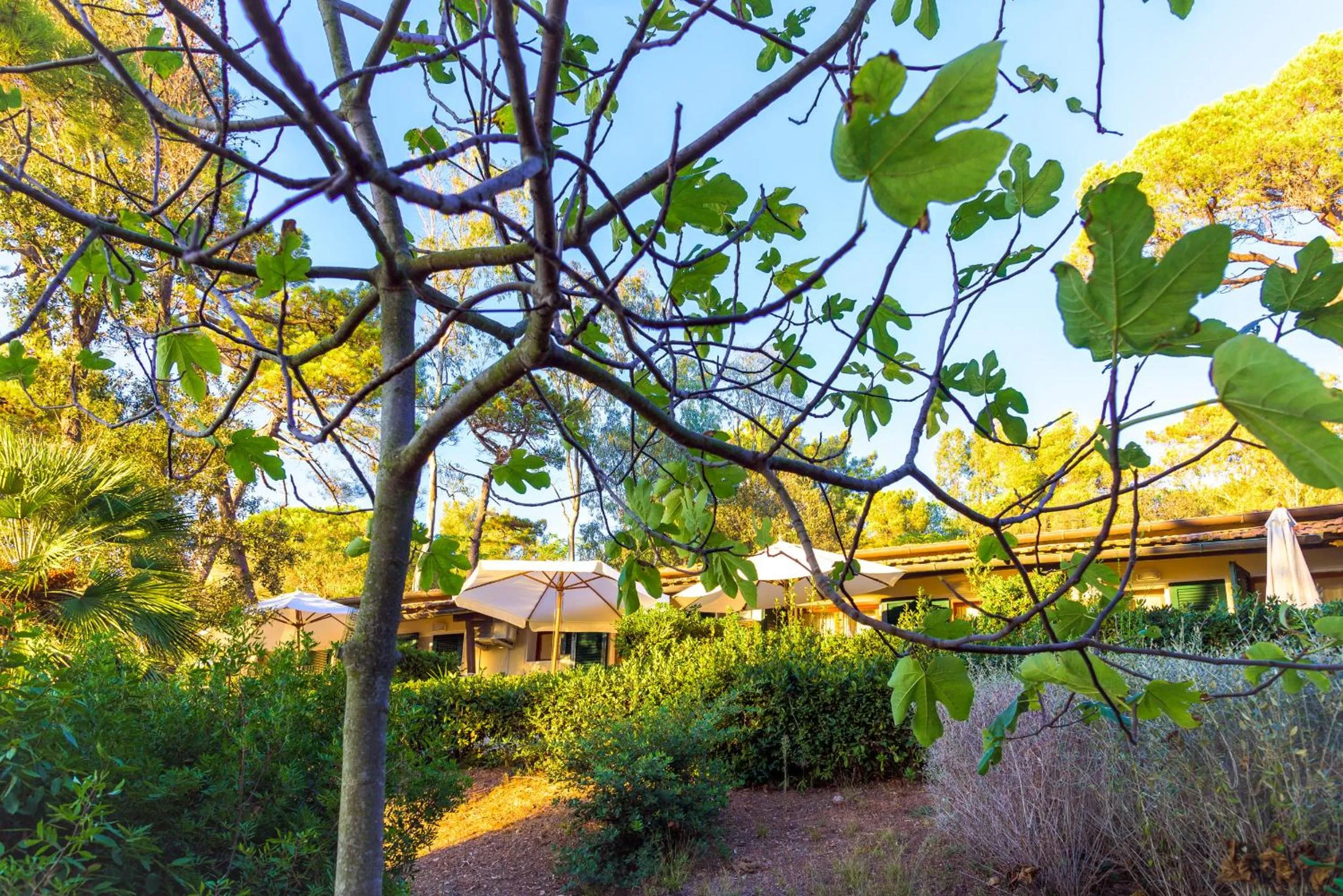 Property building in Hotel Villa Ottone