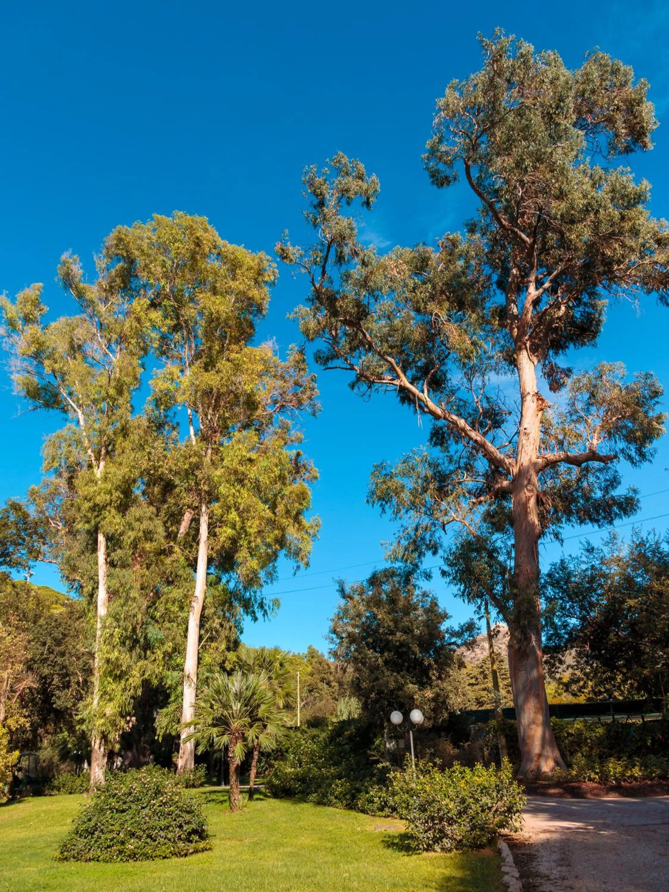 Natural landscape in Hotel Villa Ottone