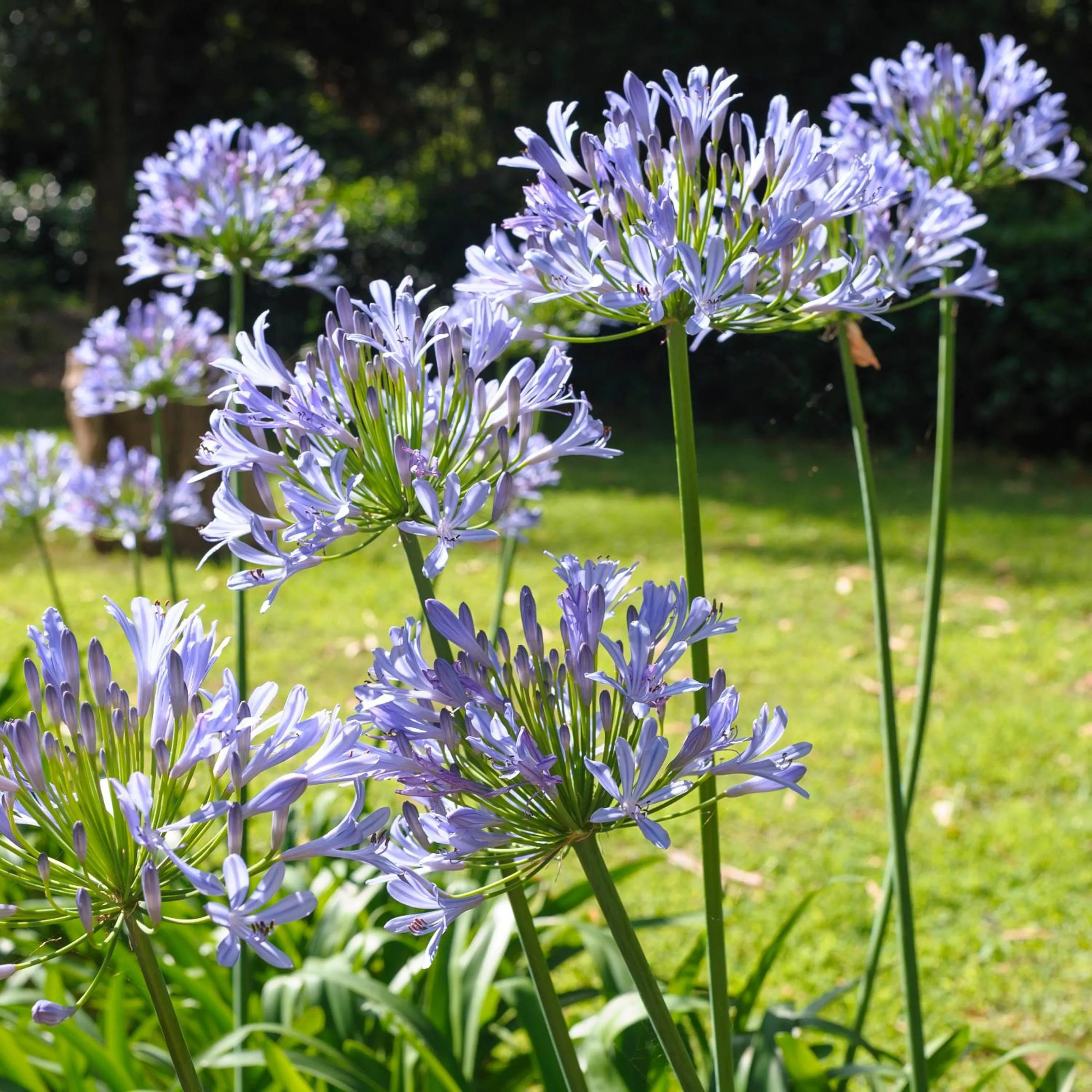 Natural landscape in Hotel Villa Ottone