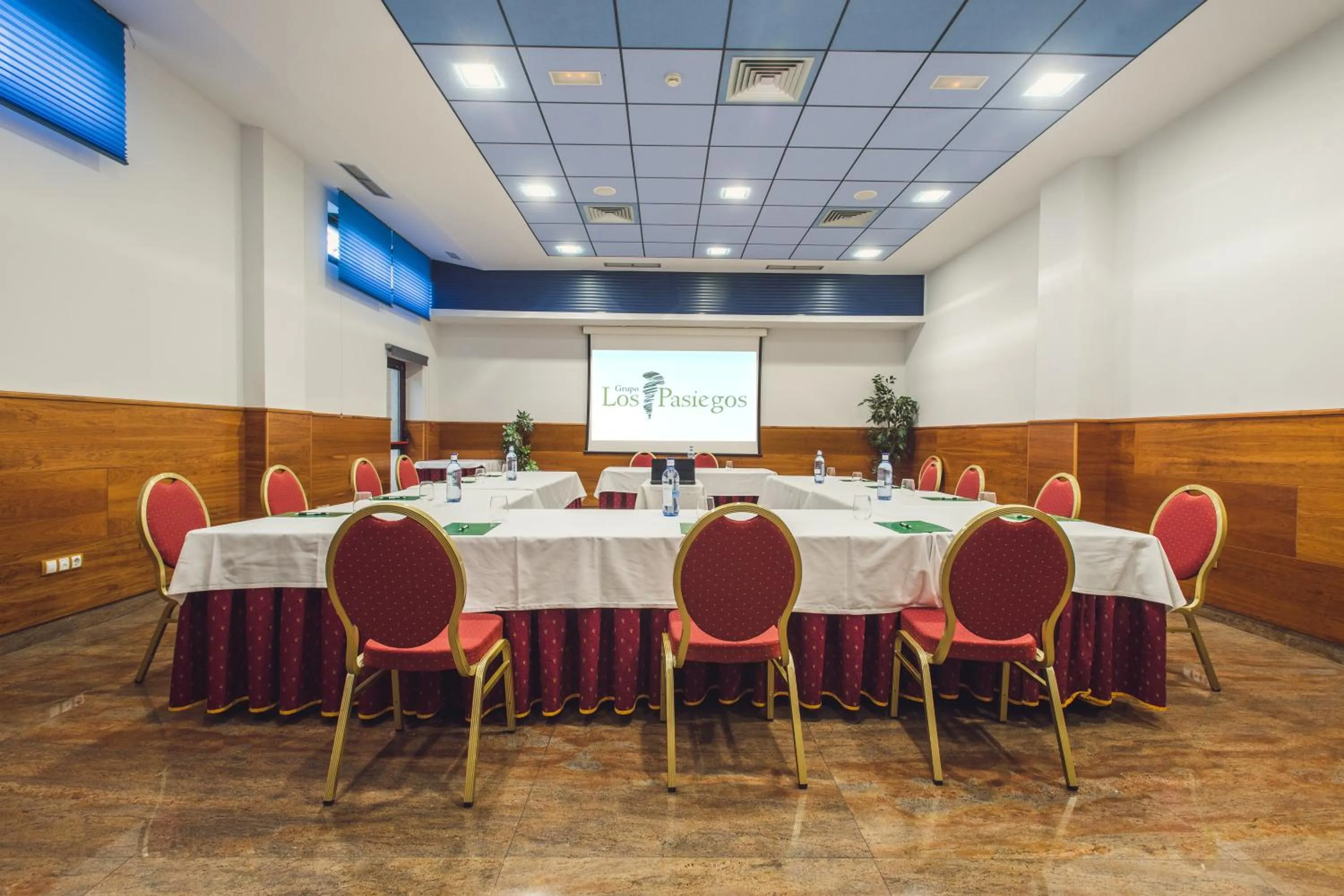 Business facilities in Hotel Spa Villa Pasiega