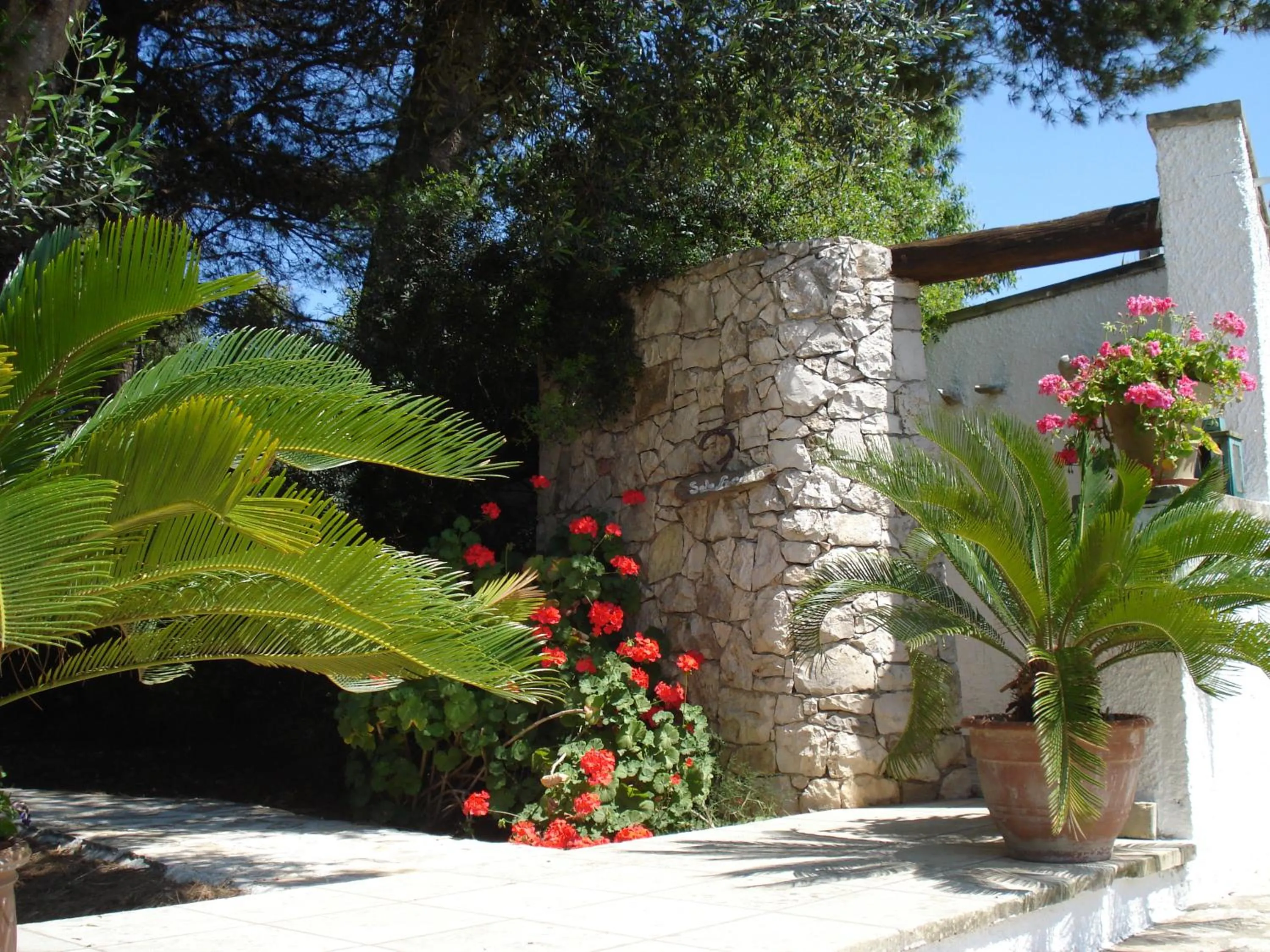 Garden in Breezes B&B