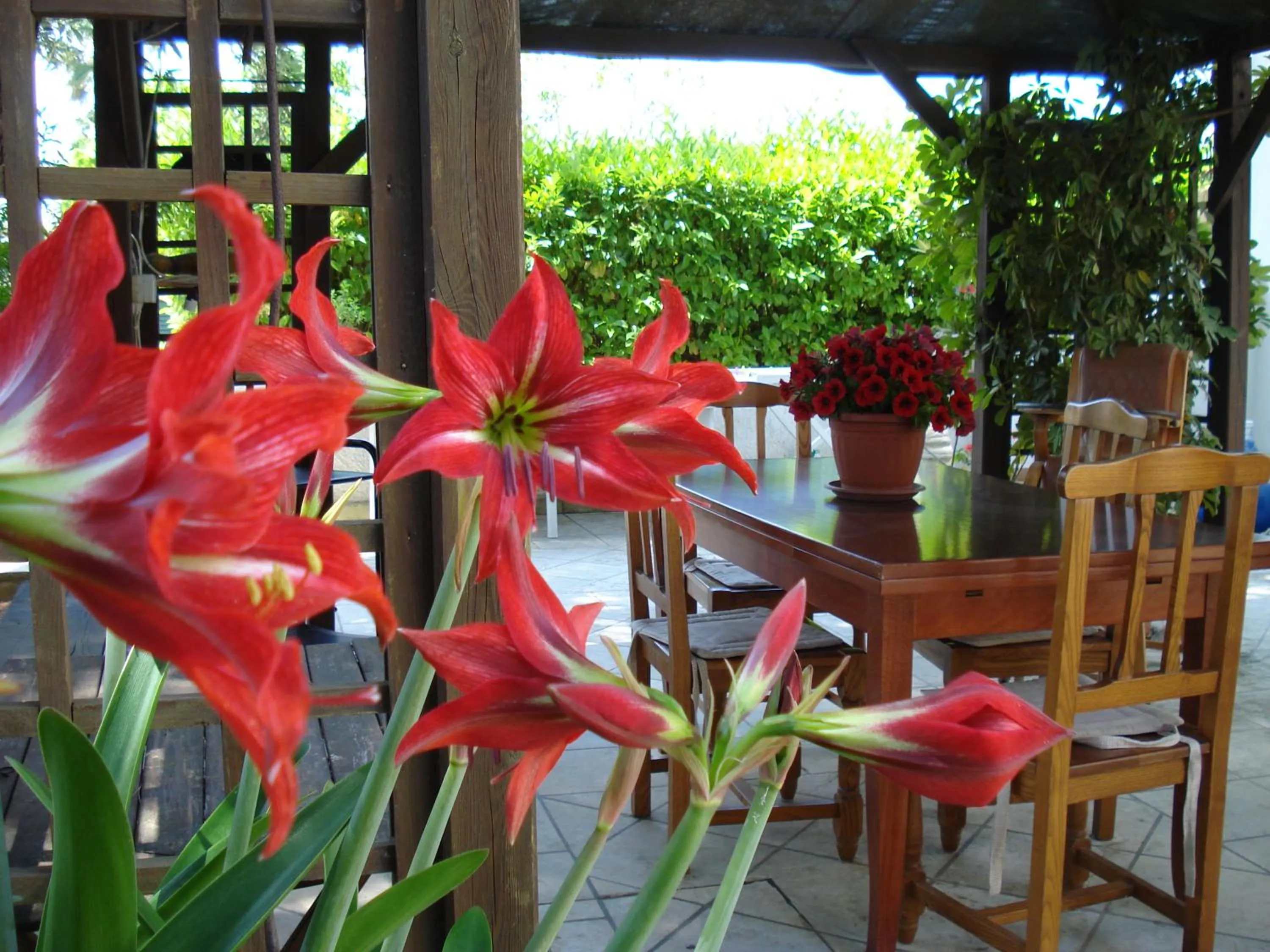 Garden in Breezes B&B