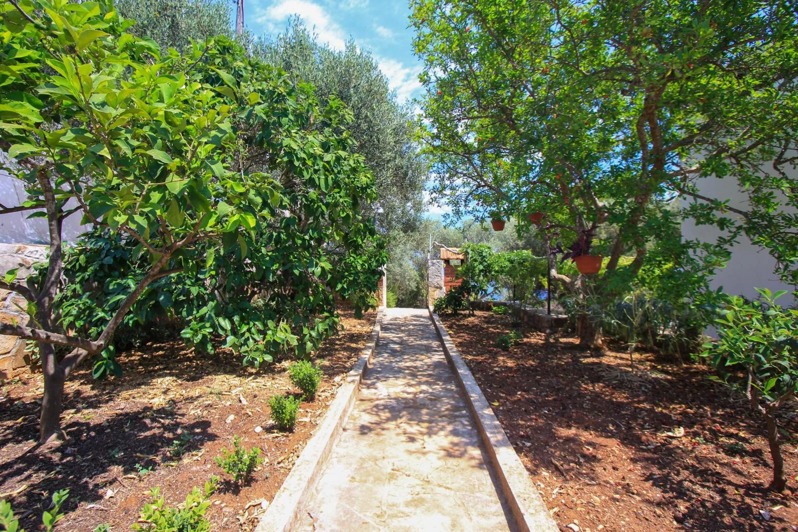 Garden in Robinson Leonardo