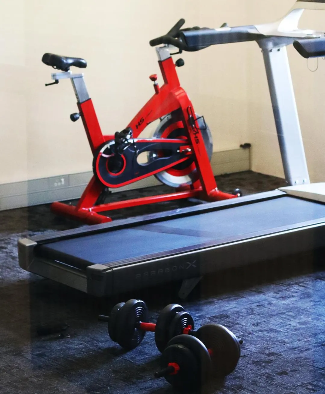 Fitness centre/facilities in Hampshire Hotel - Ballito