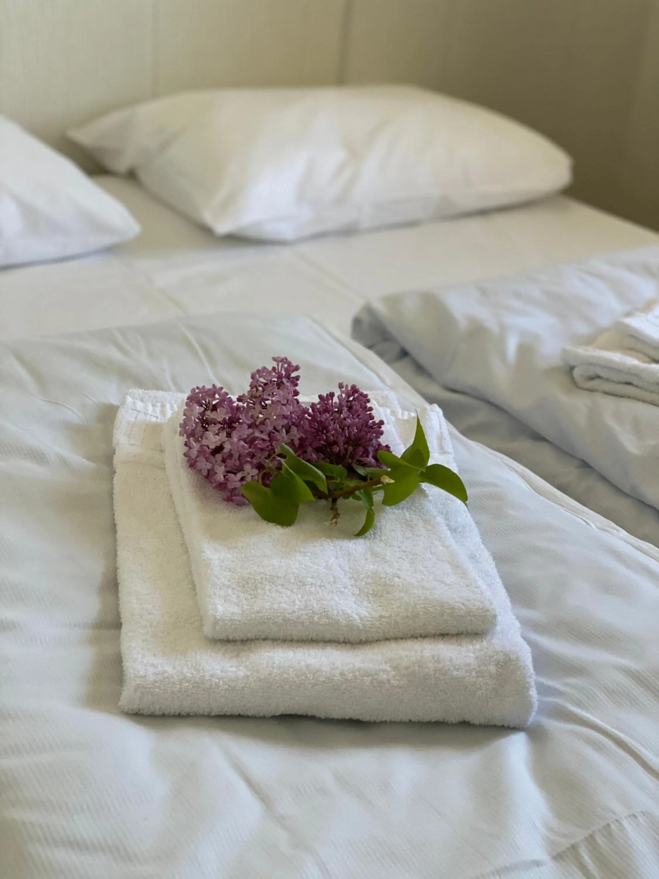 Bed in Kragerø Sportell & Apartments