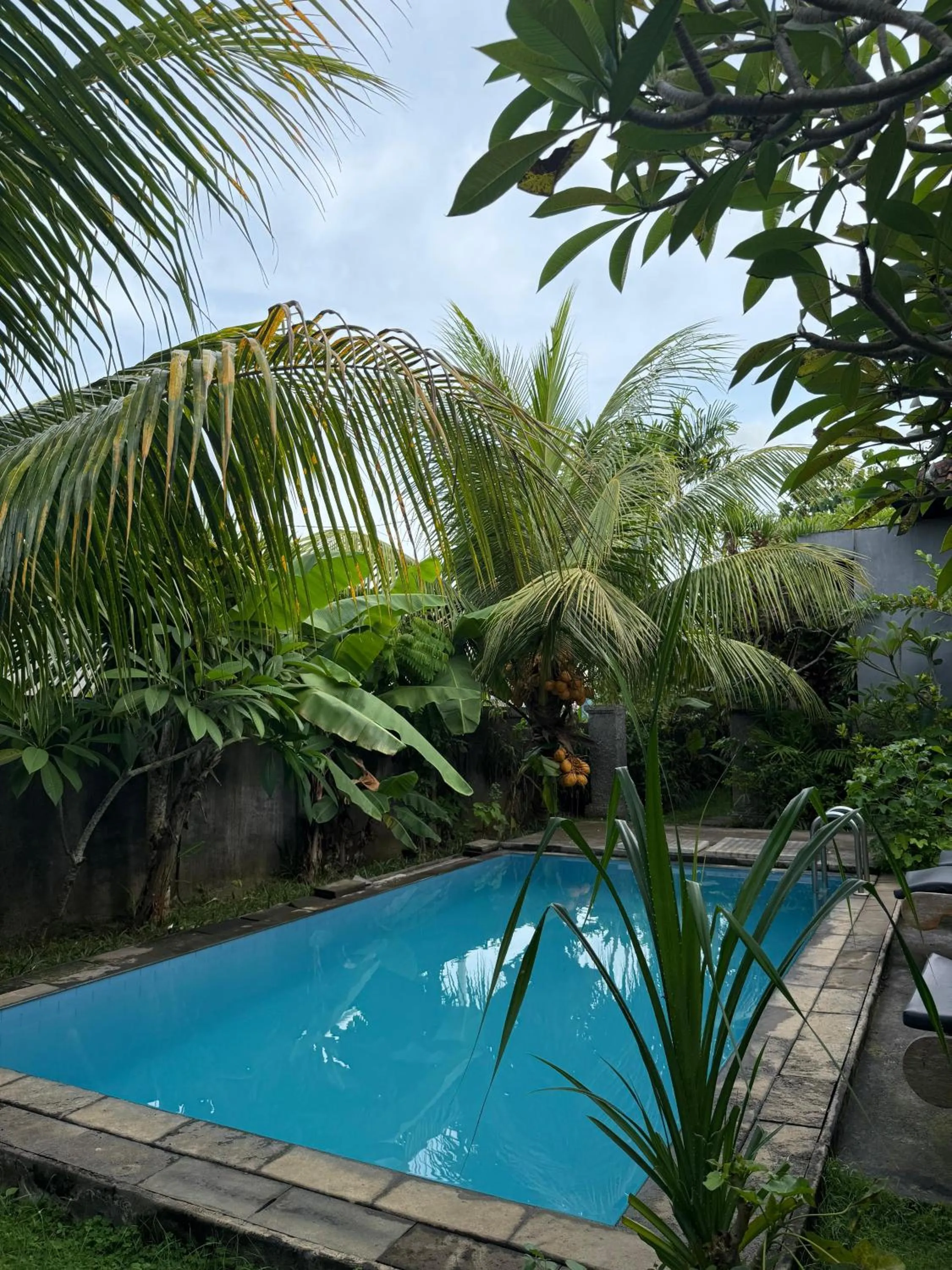 Pool view in Willy Homestay