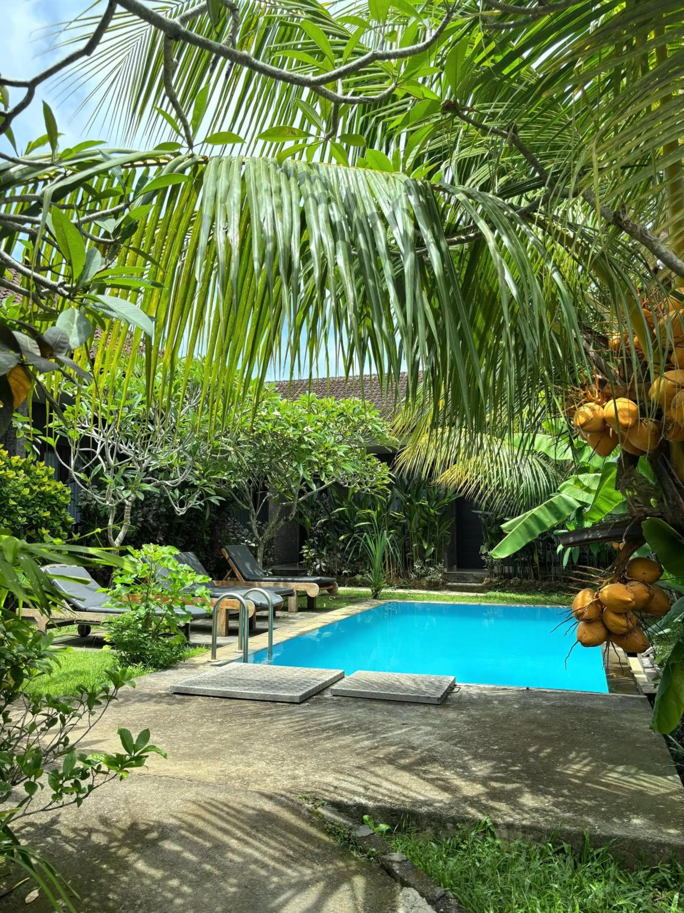 Swimming pool in Willy Homestay