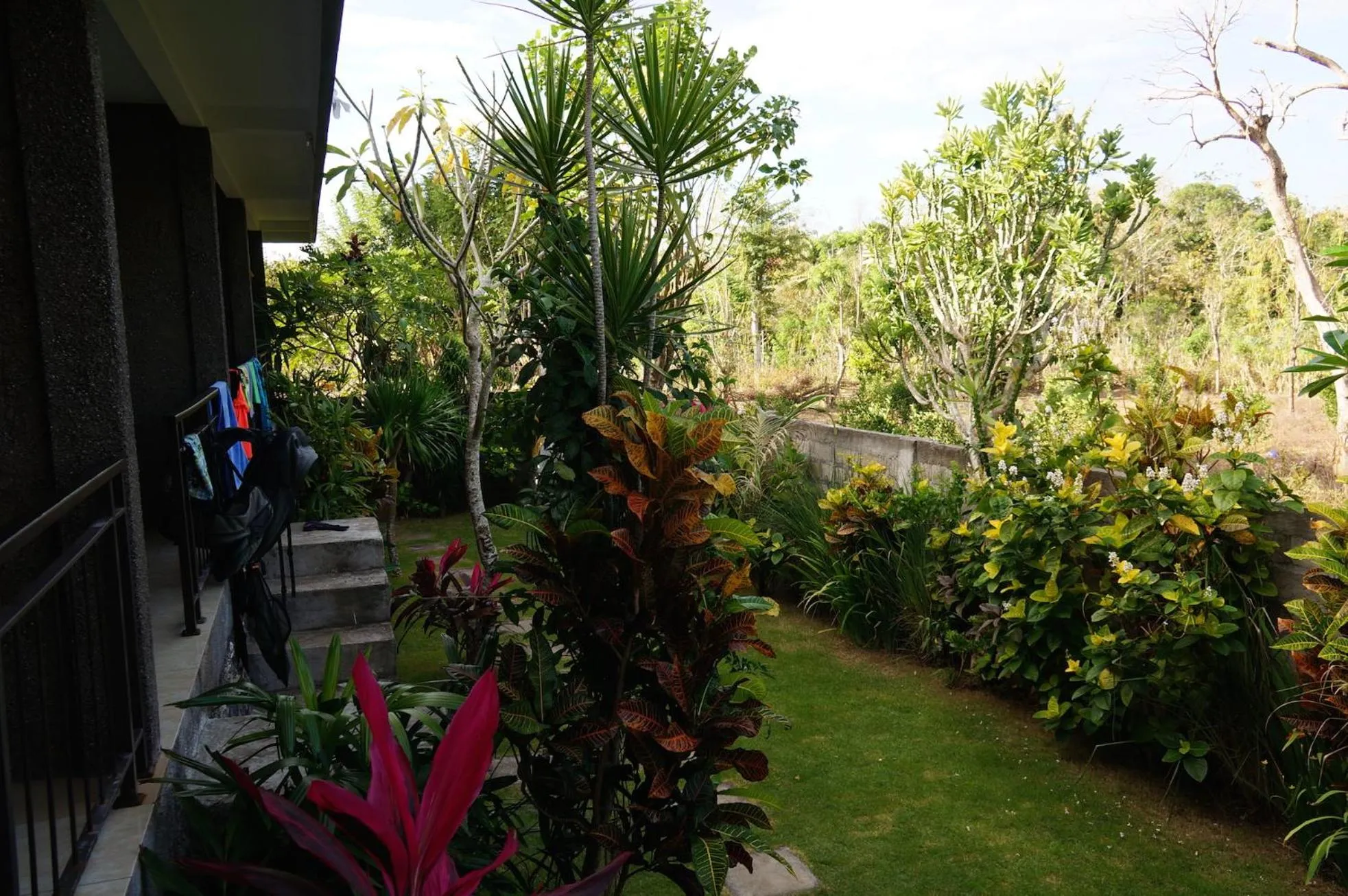 Garden view in Willy Homestay
