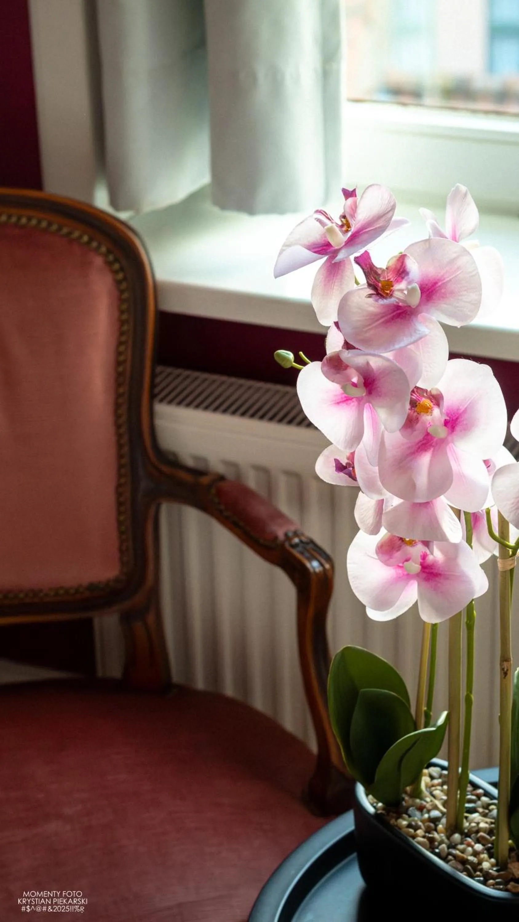 Hostel Lybeer Private Rooms just for two!