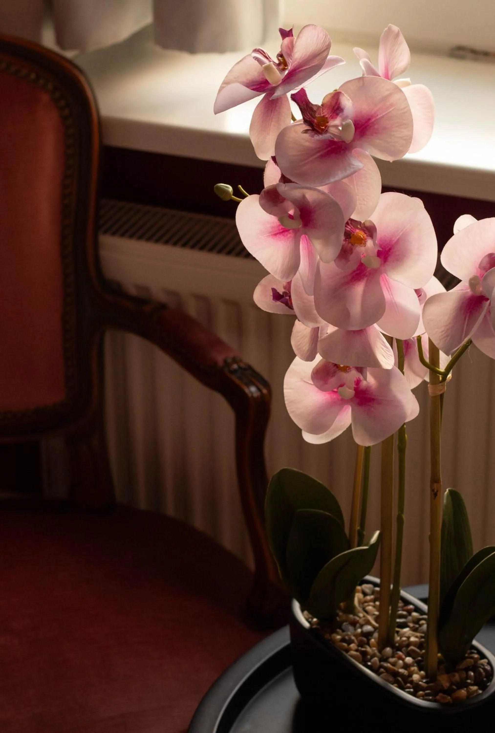 Hostel Lybeer Private Rooms just for two!