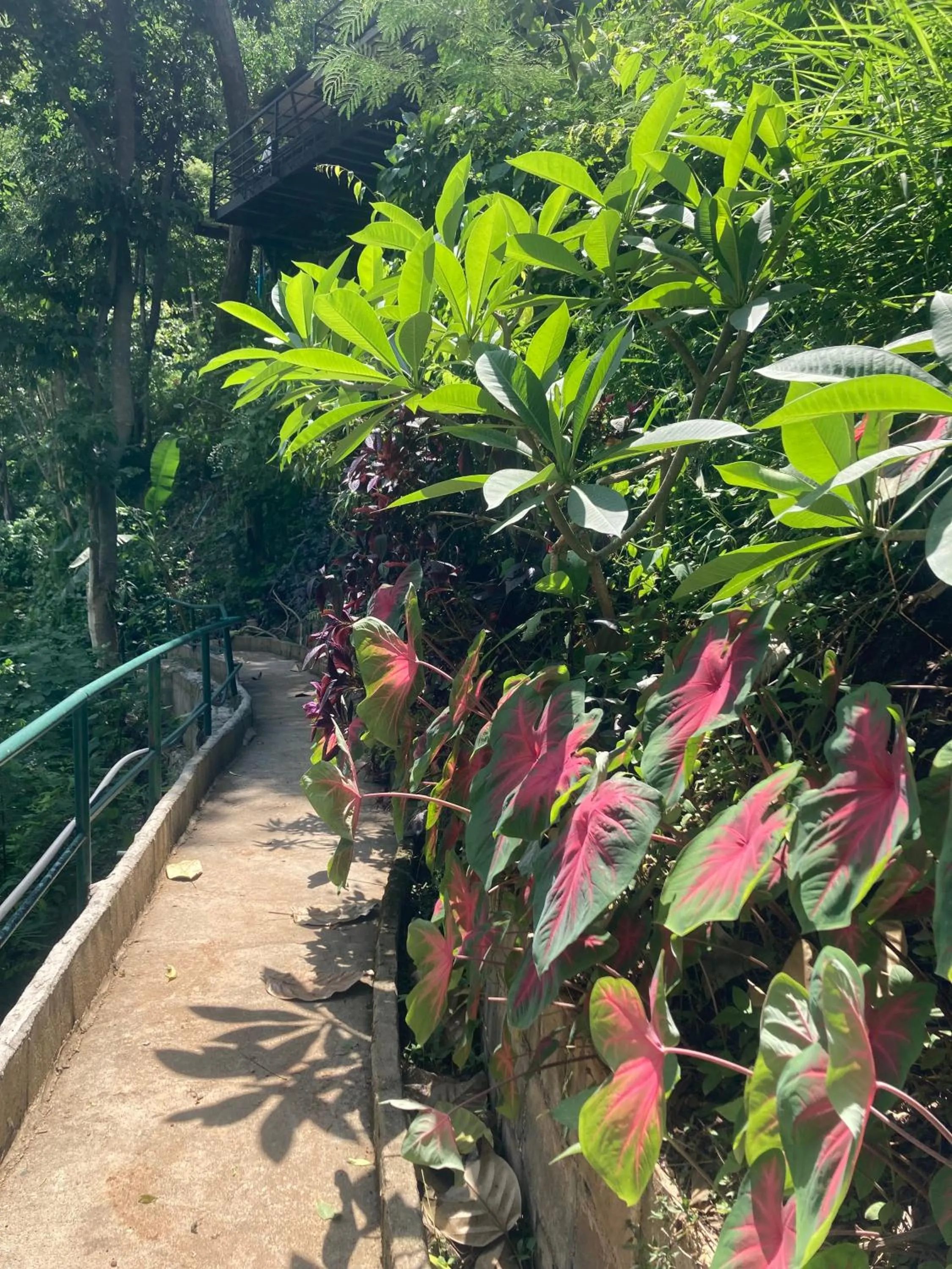 Natural landscape in Maesa Greenery Hill SHA