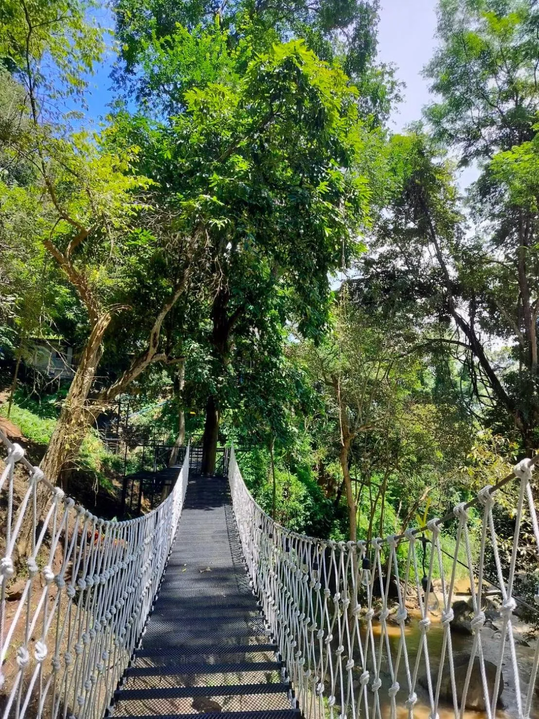 On site in Maesa Greenery Hill SHA