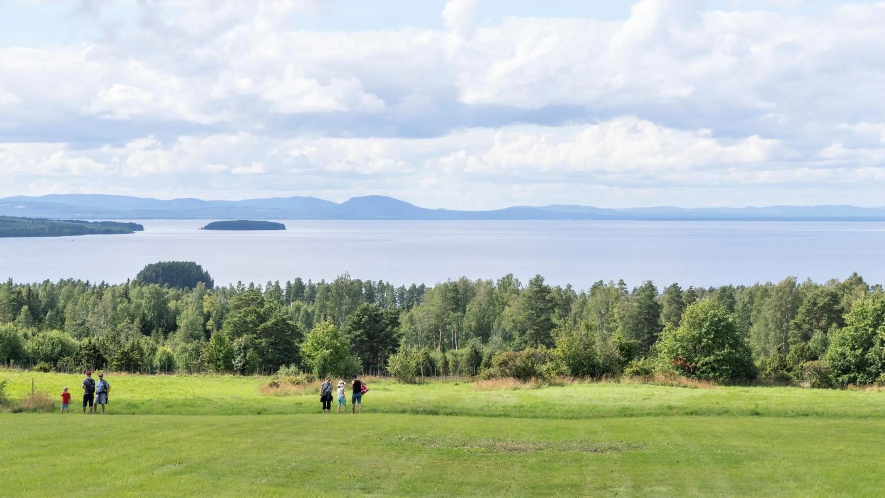 Neighbourhood in Hotell Gyllene Hornet