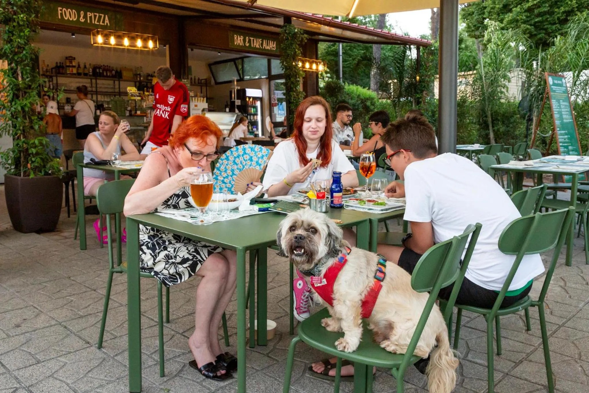 Animals in hu I Pini village