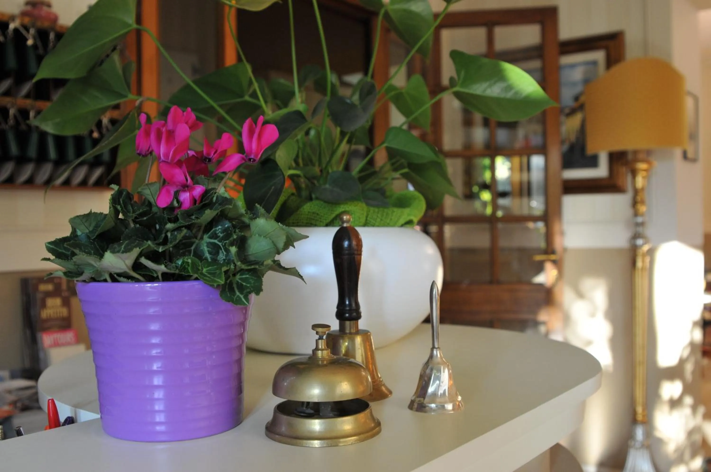 Lobby or reception in Hotel Stipino