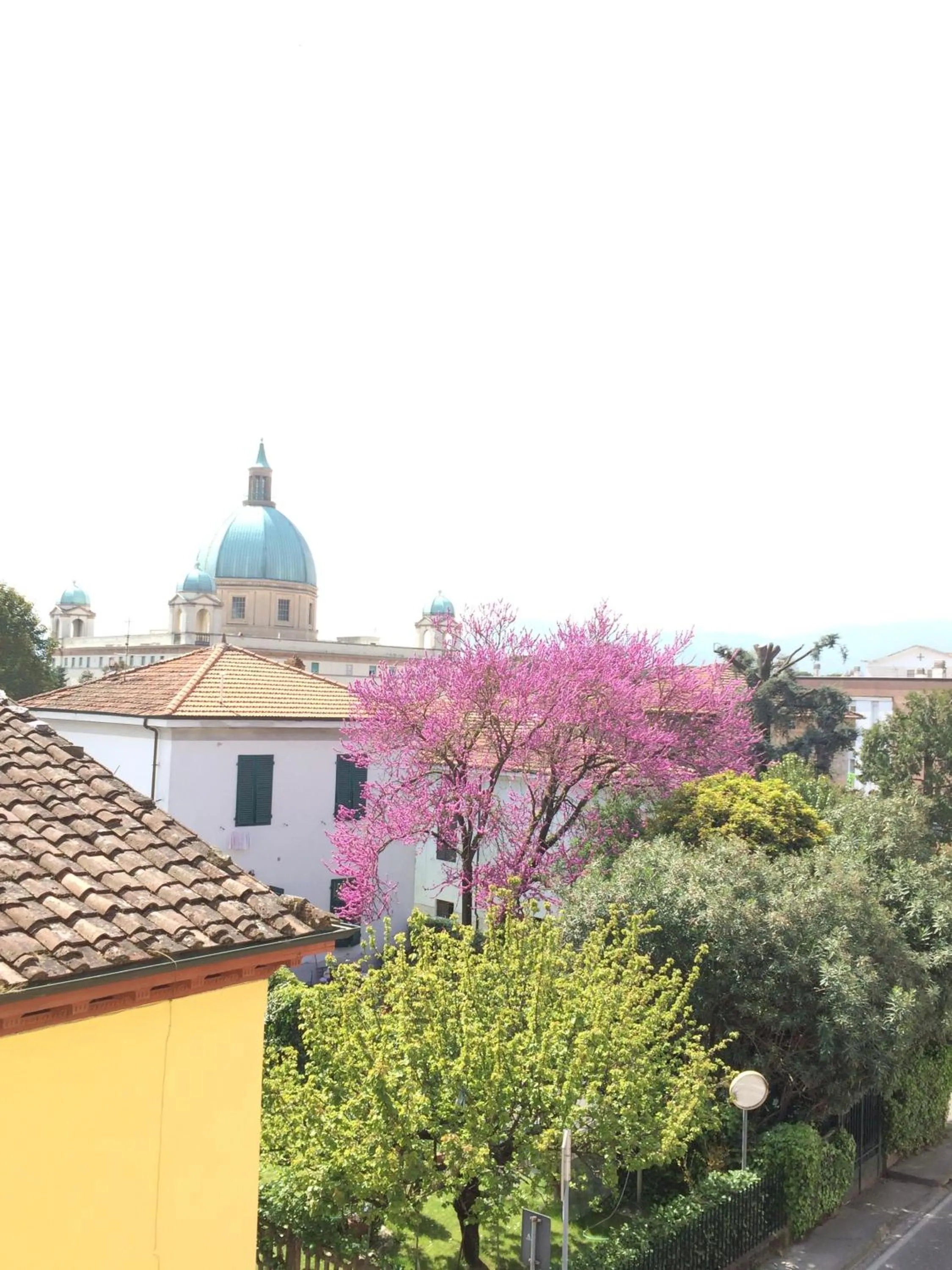 View (from property/room) in Hotel Stipino