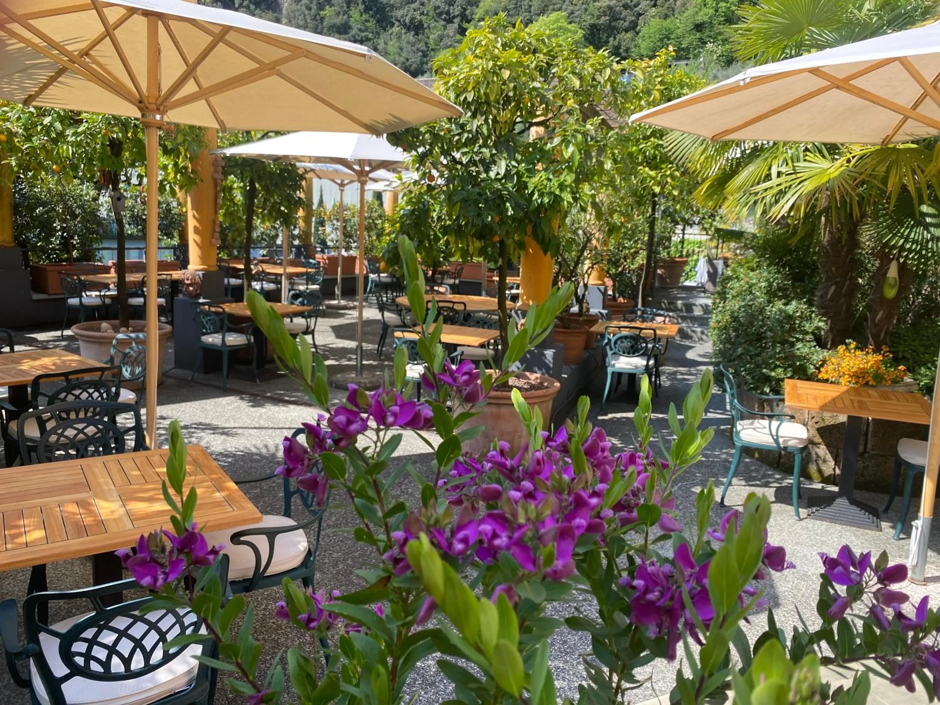 Day in Villa Miravalle