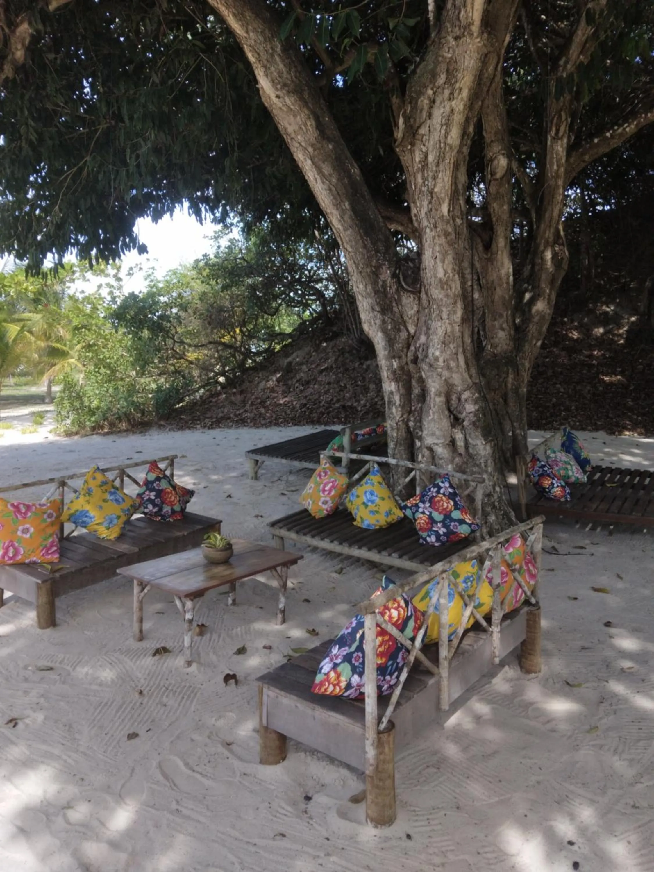 Garden in Rancho Do Peixe