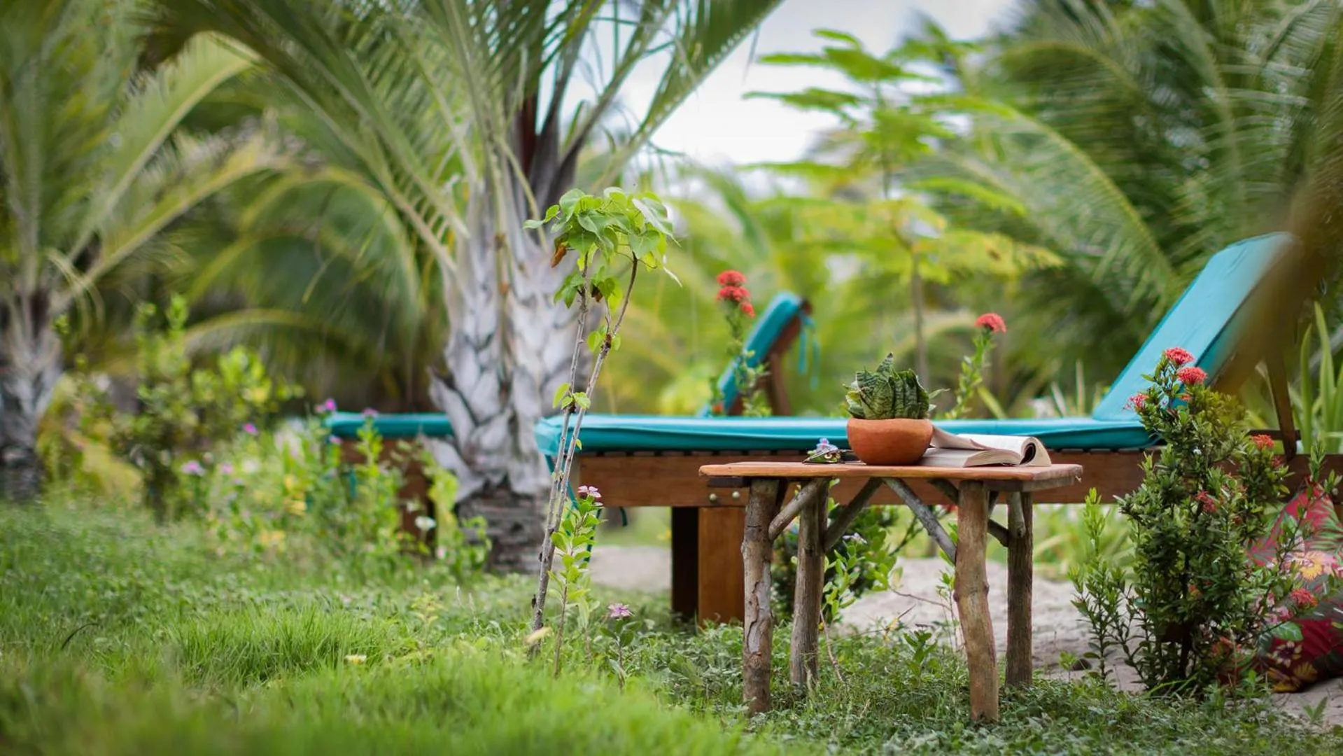 Garden in Rancho Do Peixe