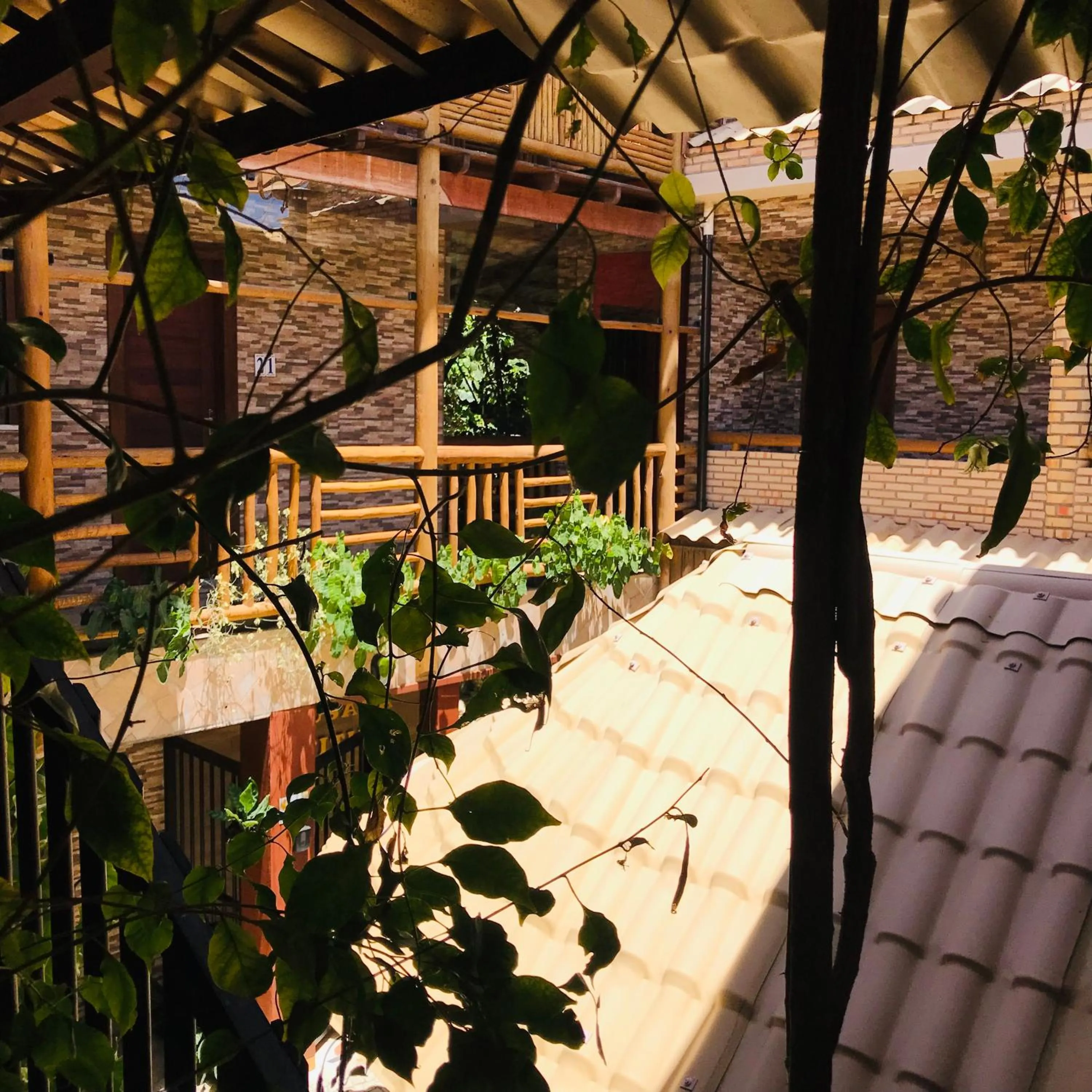 Garden in Hotel Pousada Latitude