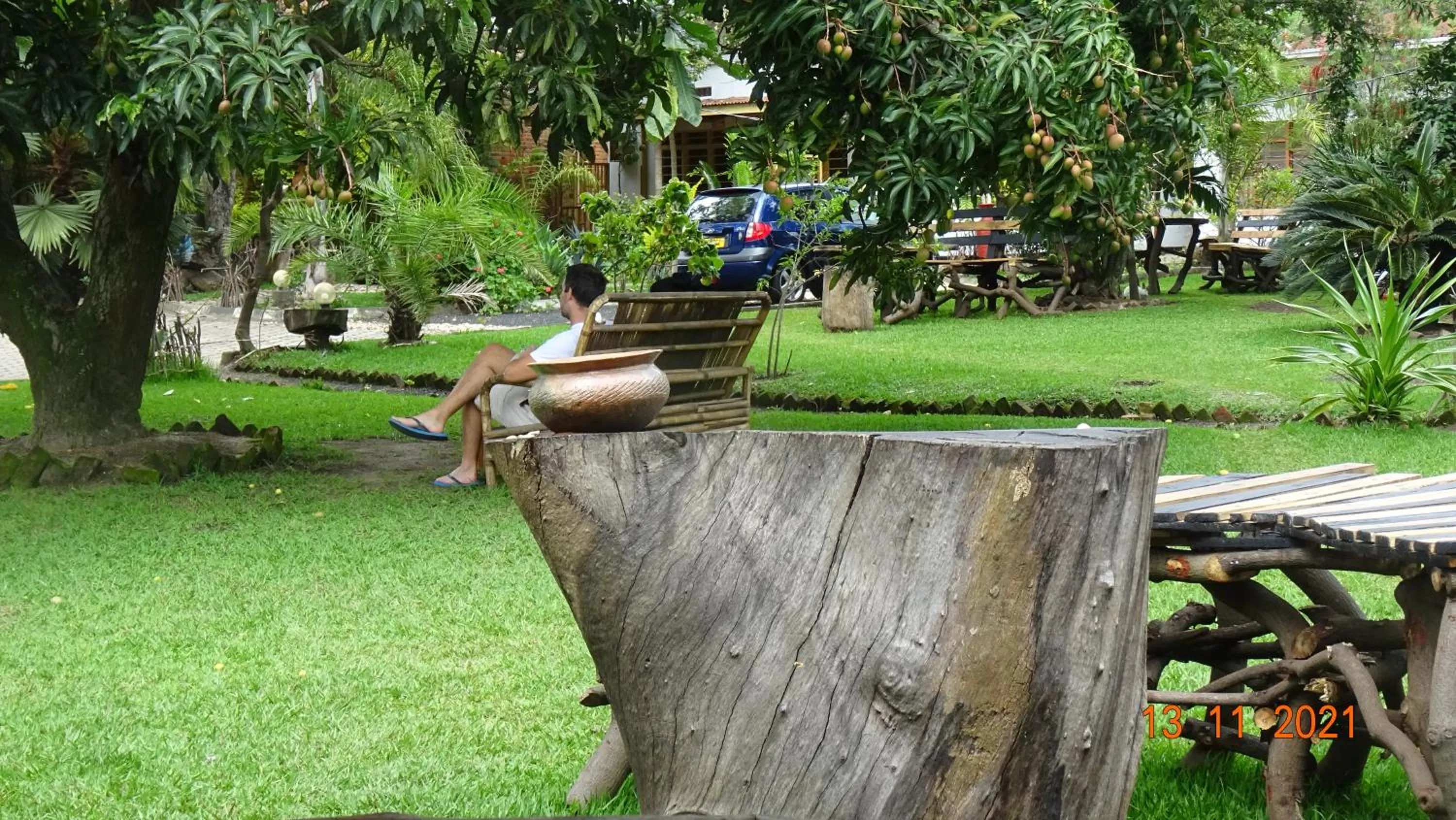 Garden in Kivu Beach Garden