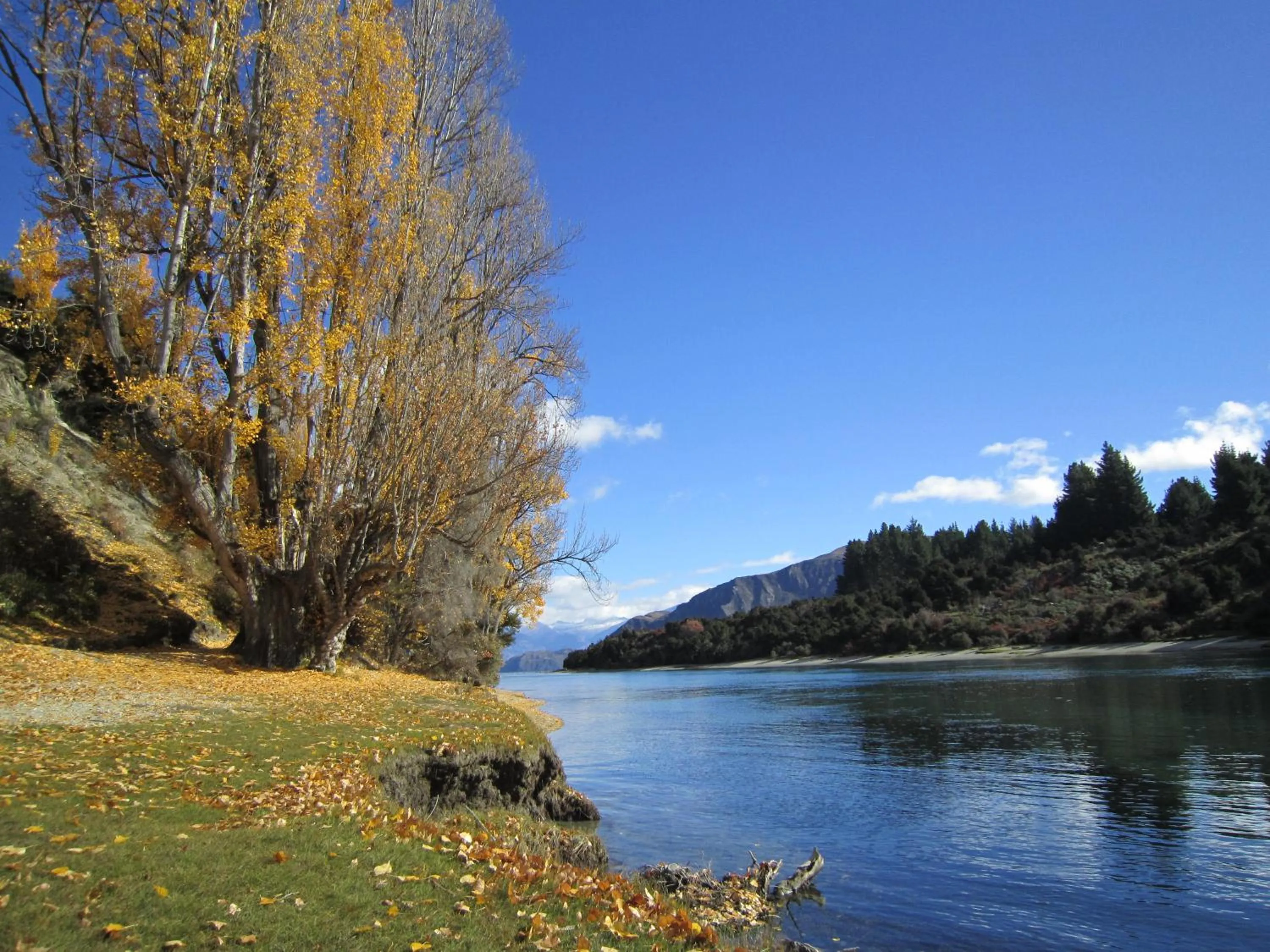 Autumn in Lake Wanaka Lodge