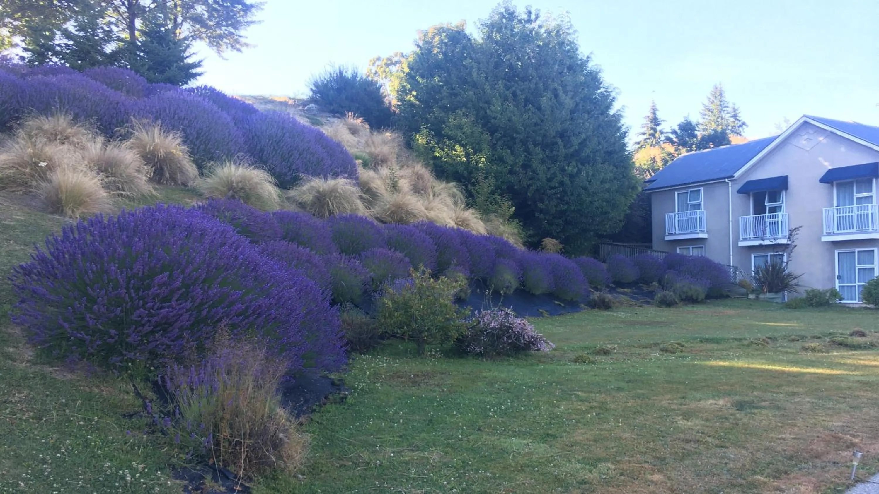 Garden in Lake Wanaka Lodge