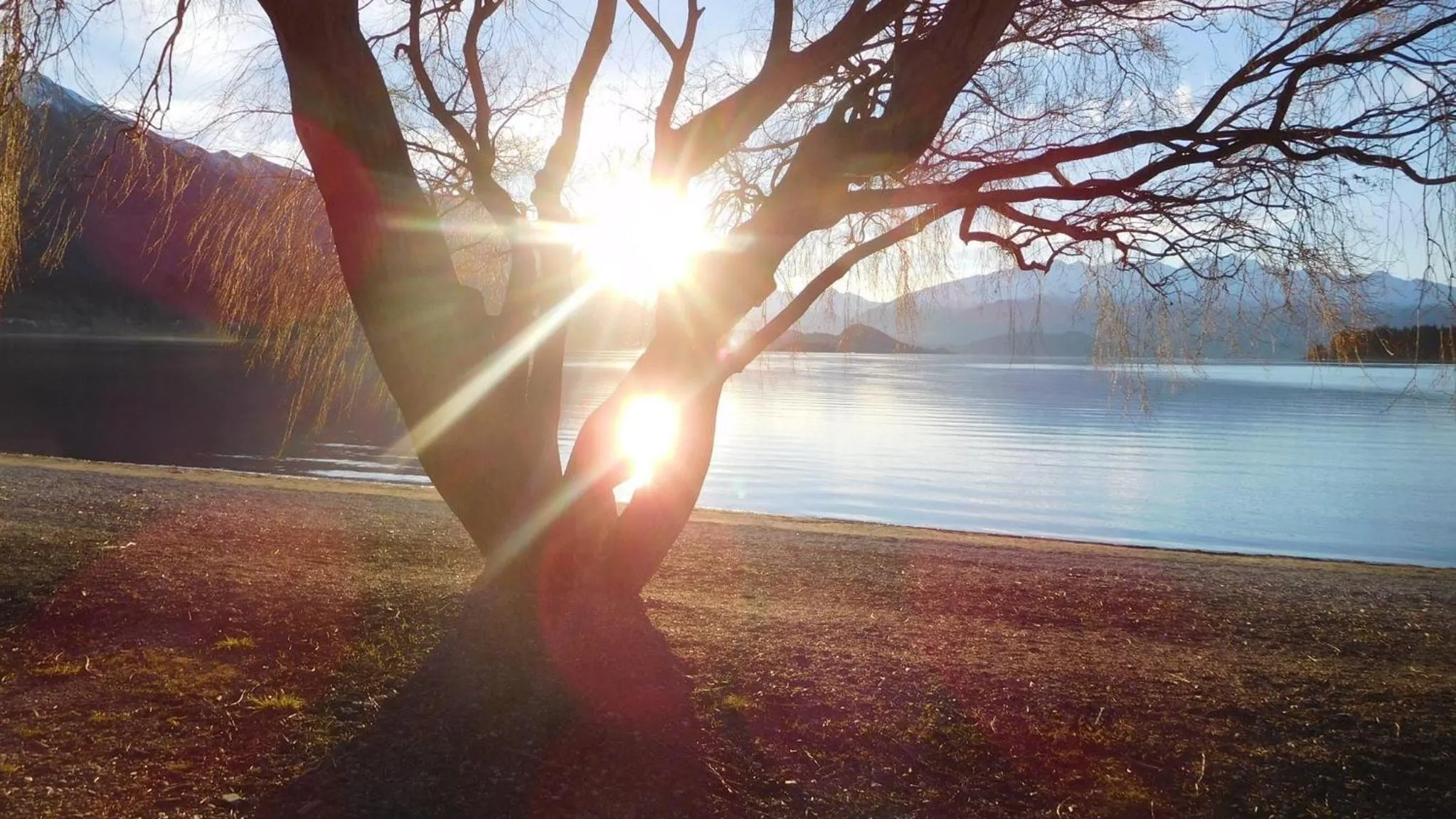 Natural landscape in Lake Wanaka Lodge